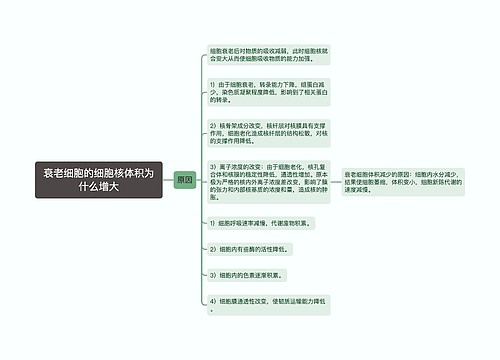 衰老细胞的细胞核体积为什么增大