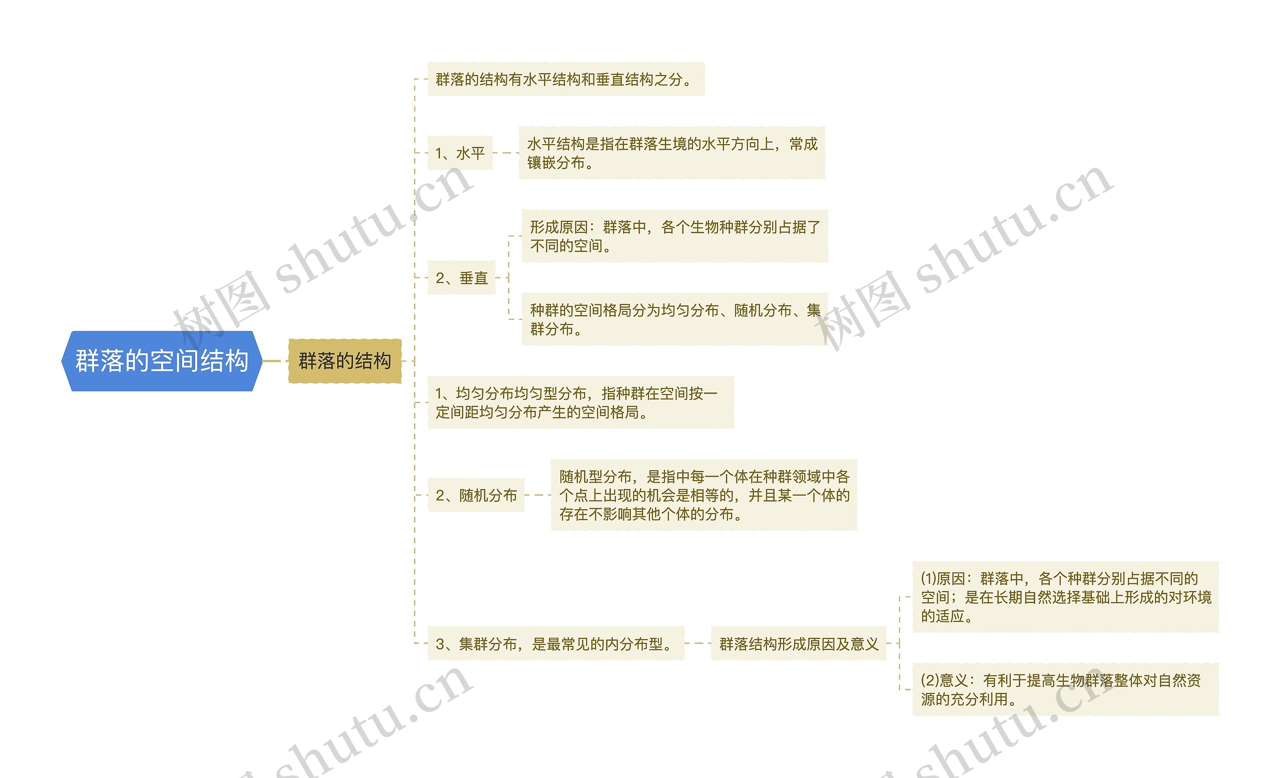 群落的空间结构