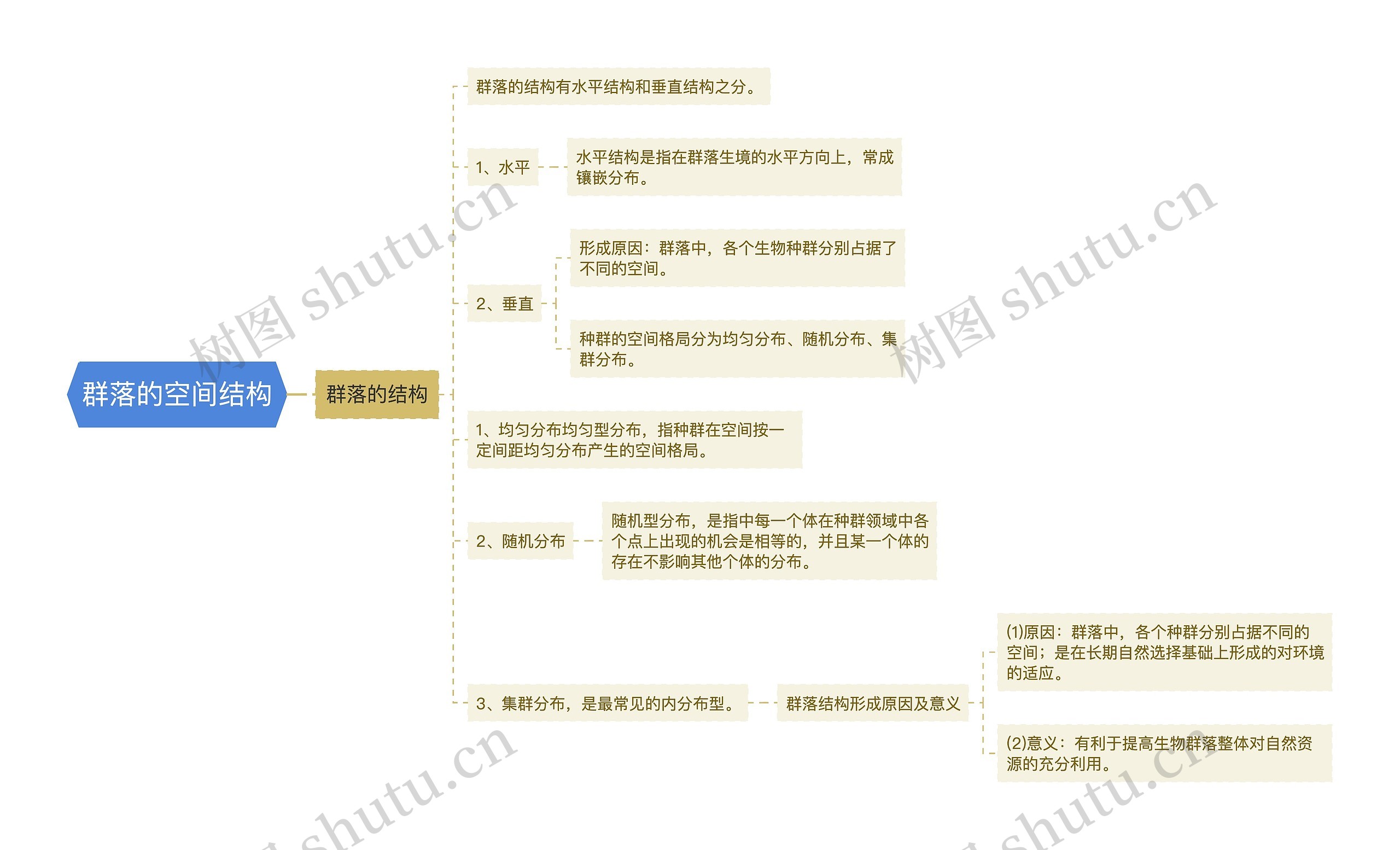 群落的空间结构思维导图