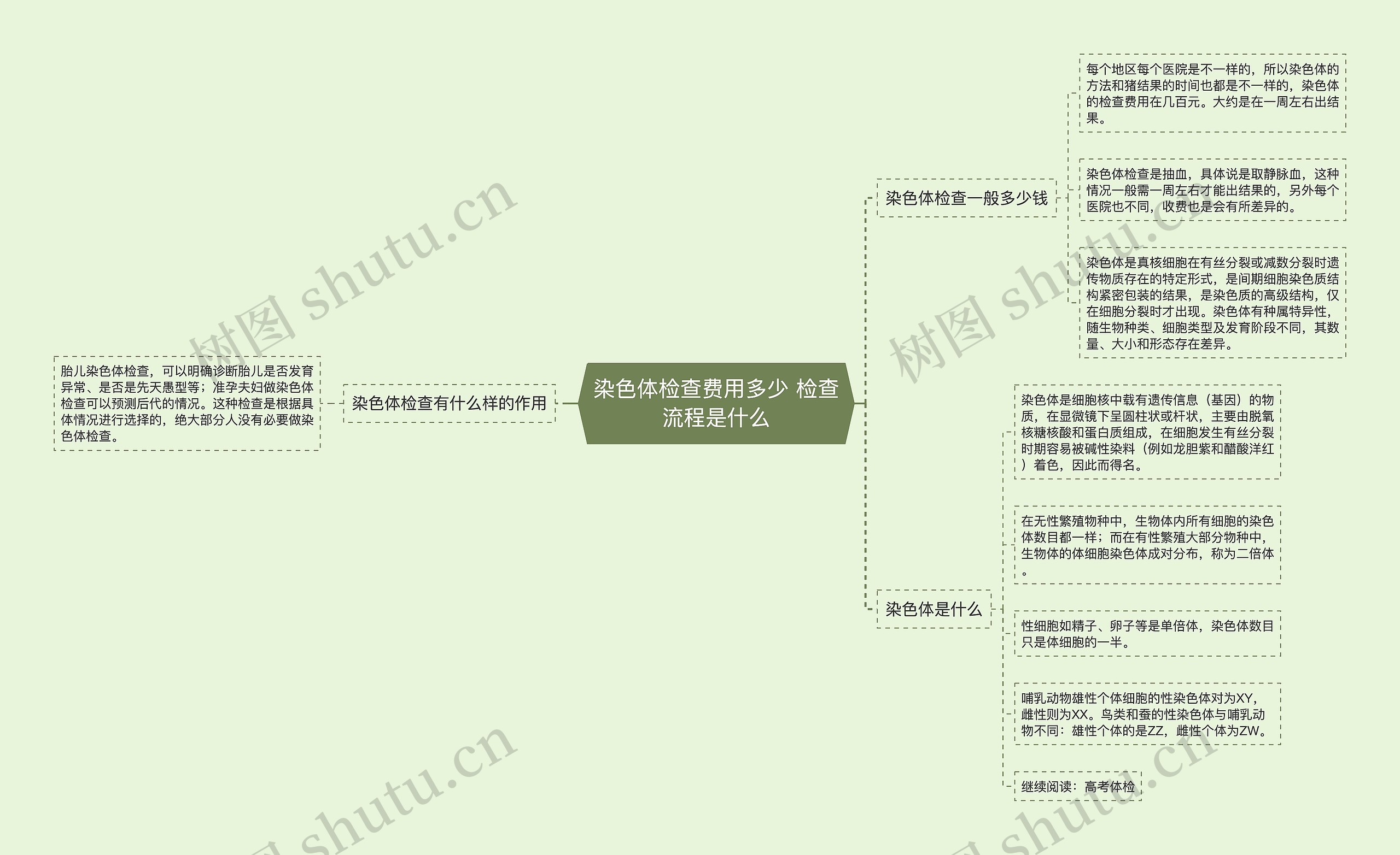 染色体检查费用多少 检查流程是什么思维导图