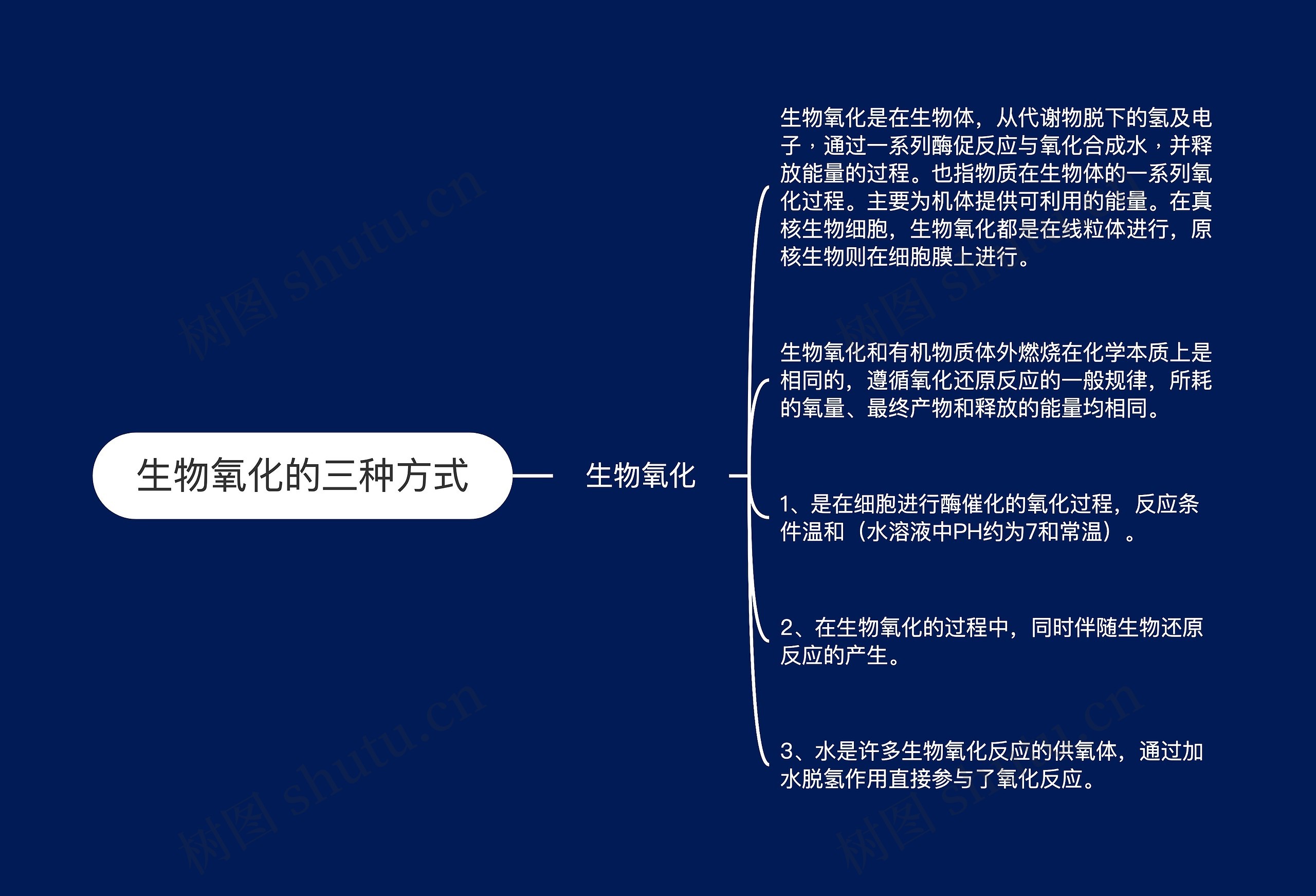 生物氧化的三种方式思维导图