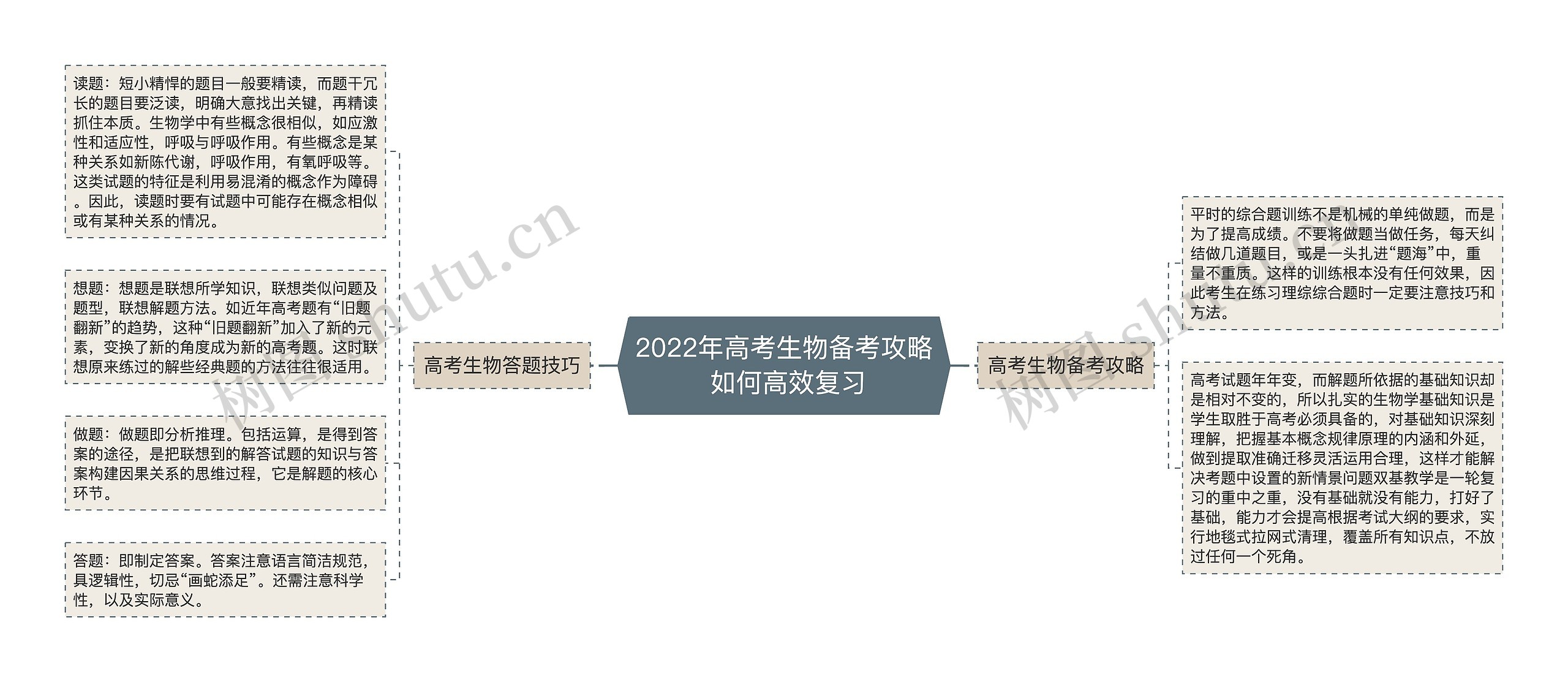 2022年高考生物备考攻略 如何高效复习 2022年高考生物备考攻略 如何高效复习