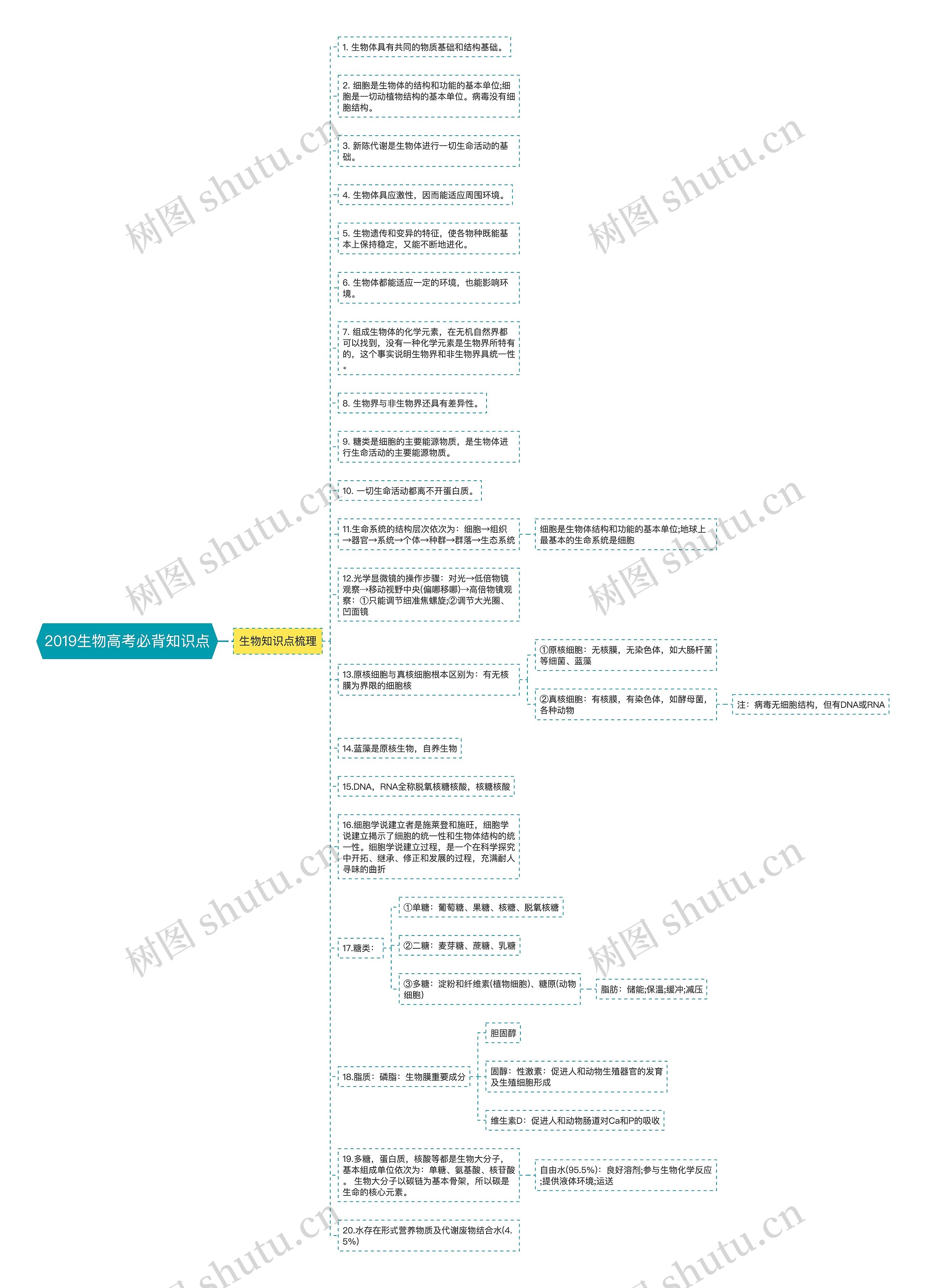 2019生物高考必背知识点思维导图