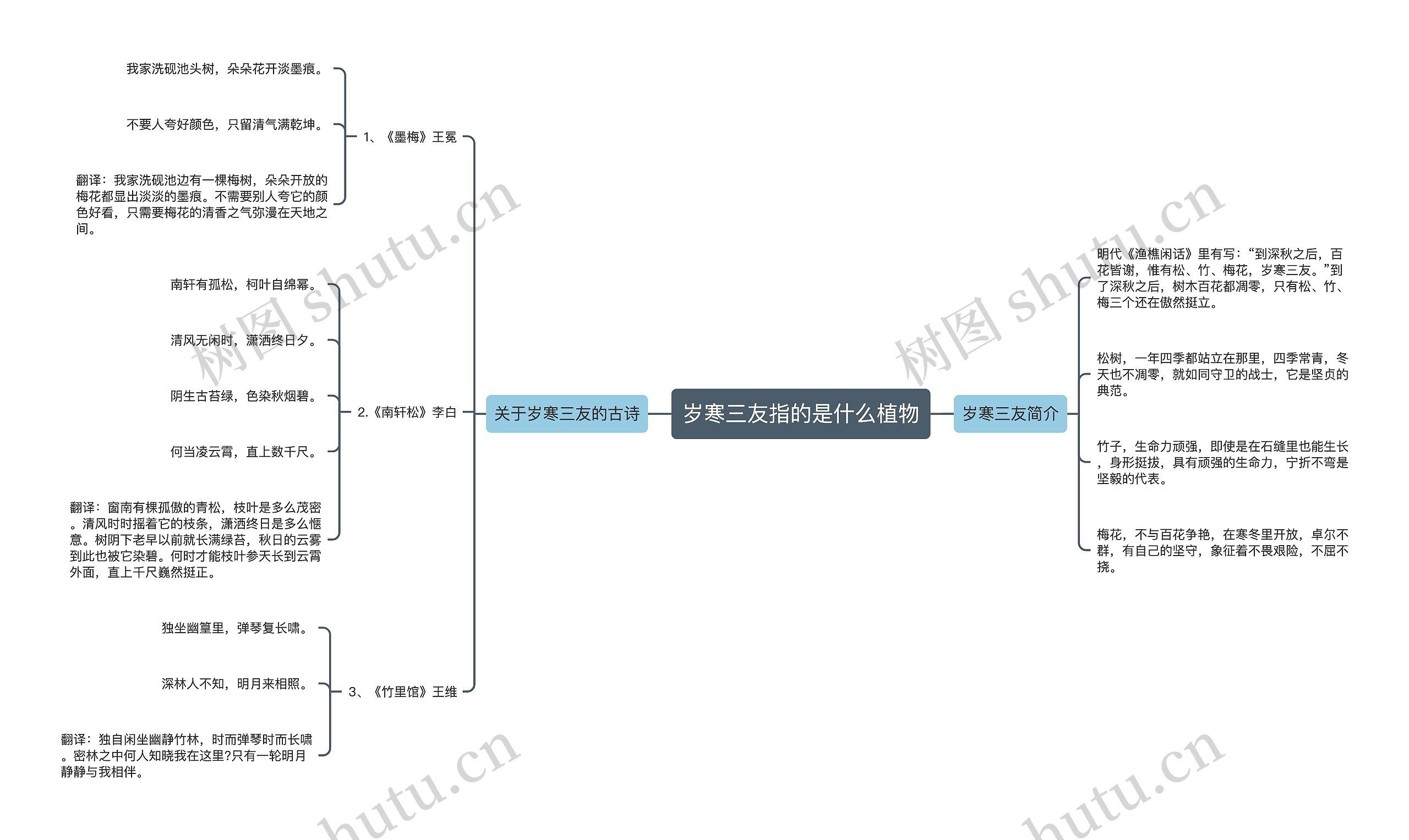 岁寒三友指的是什么植物思维导图