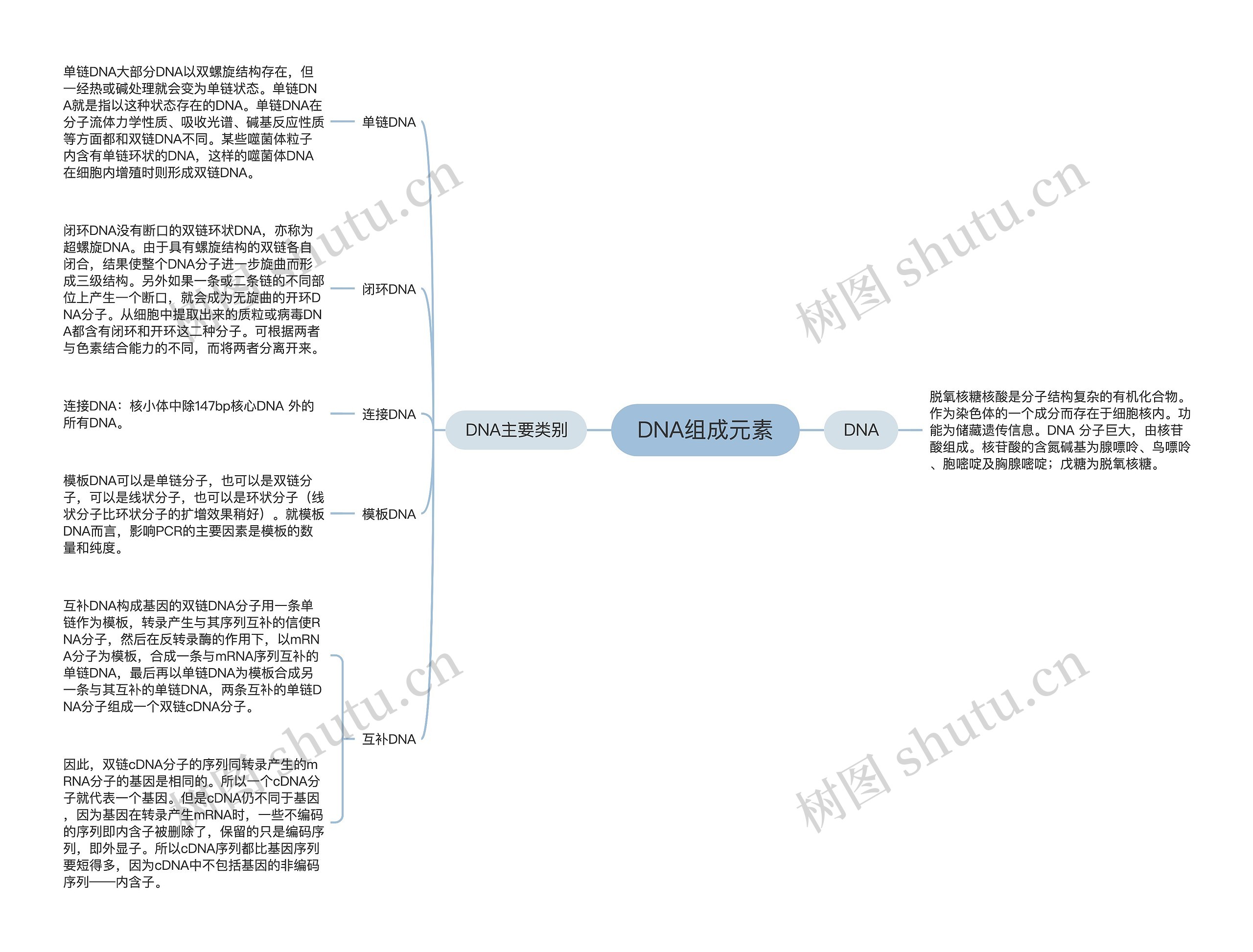 DNA组成元素