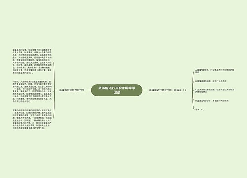 蓝藻能进行光合作用的原因是