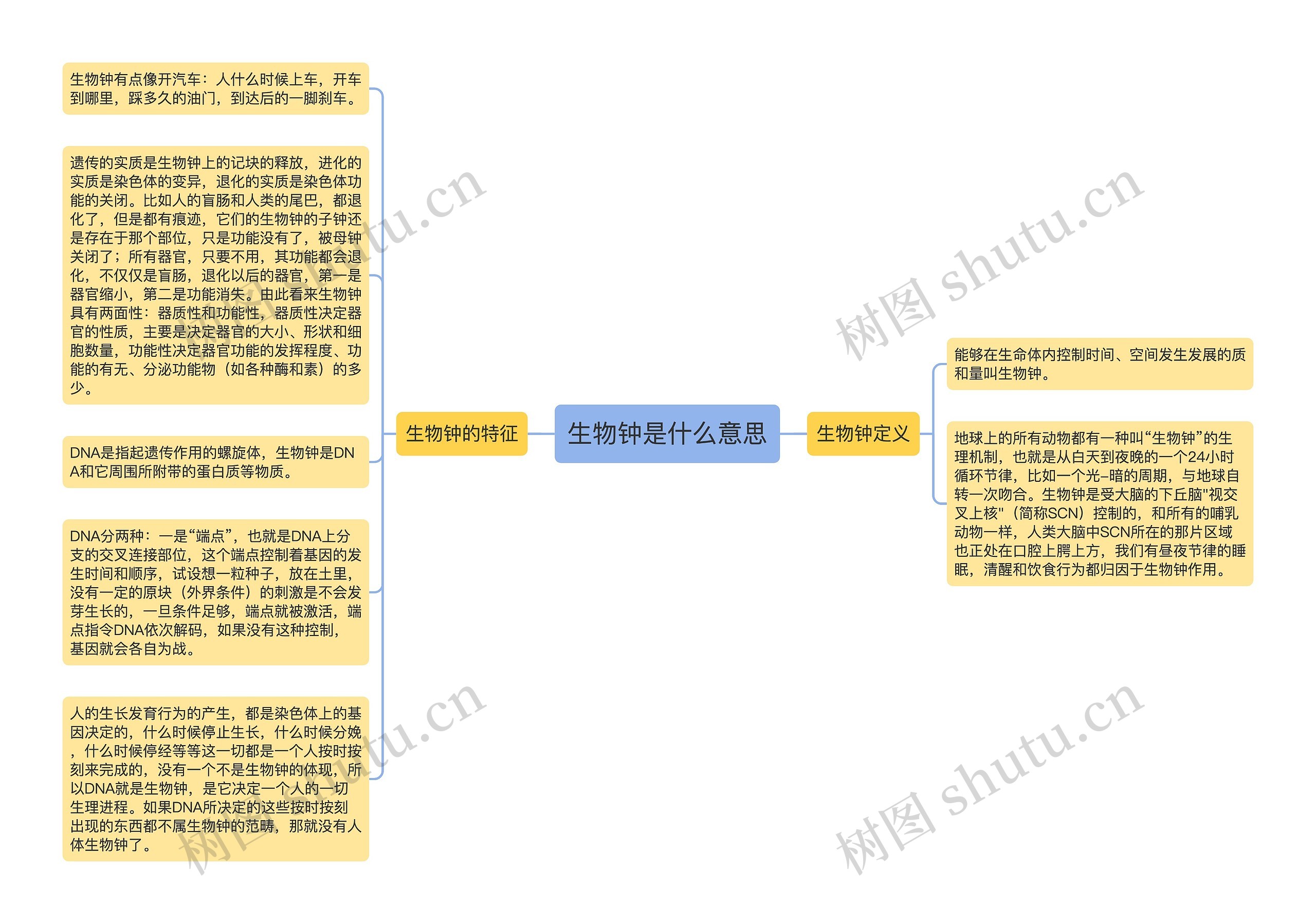 生物钟是什么意思思维导图