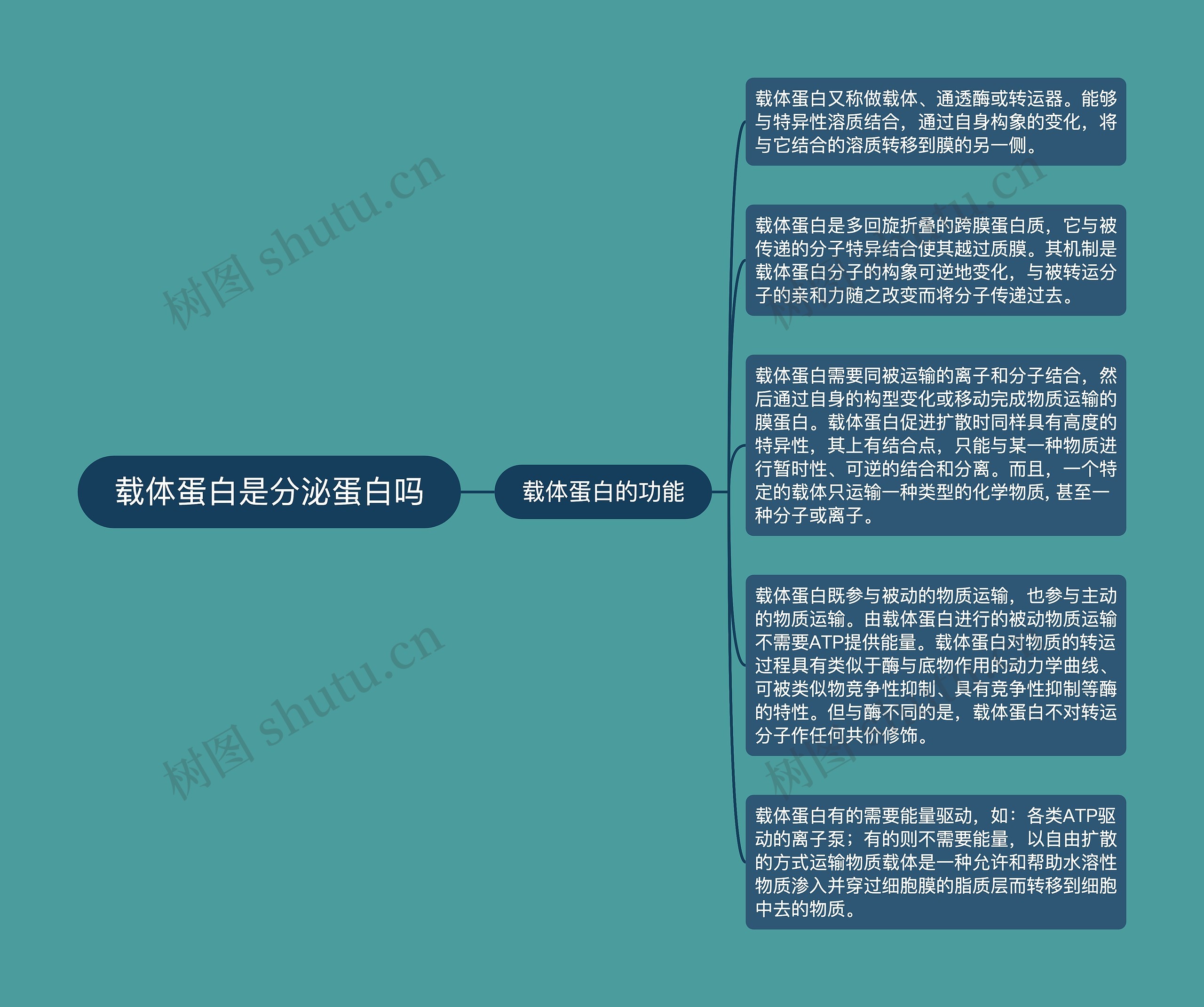 载体蛋白是分泌蛋白吗