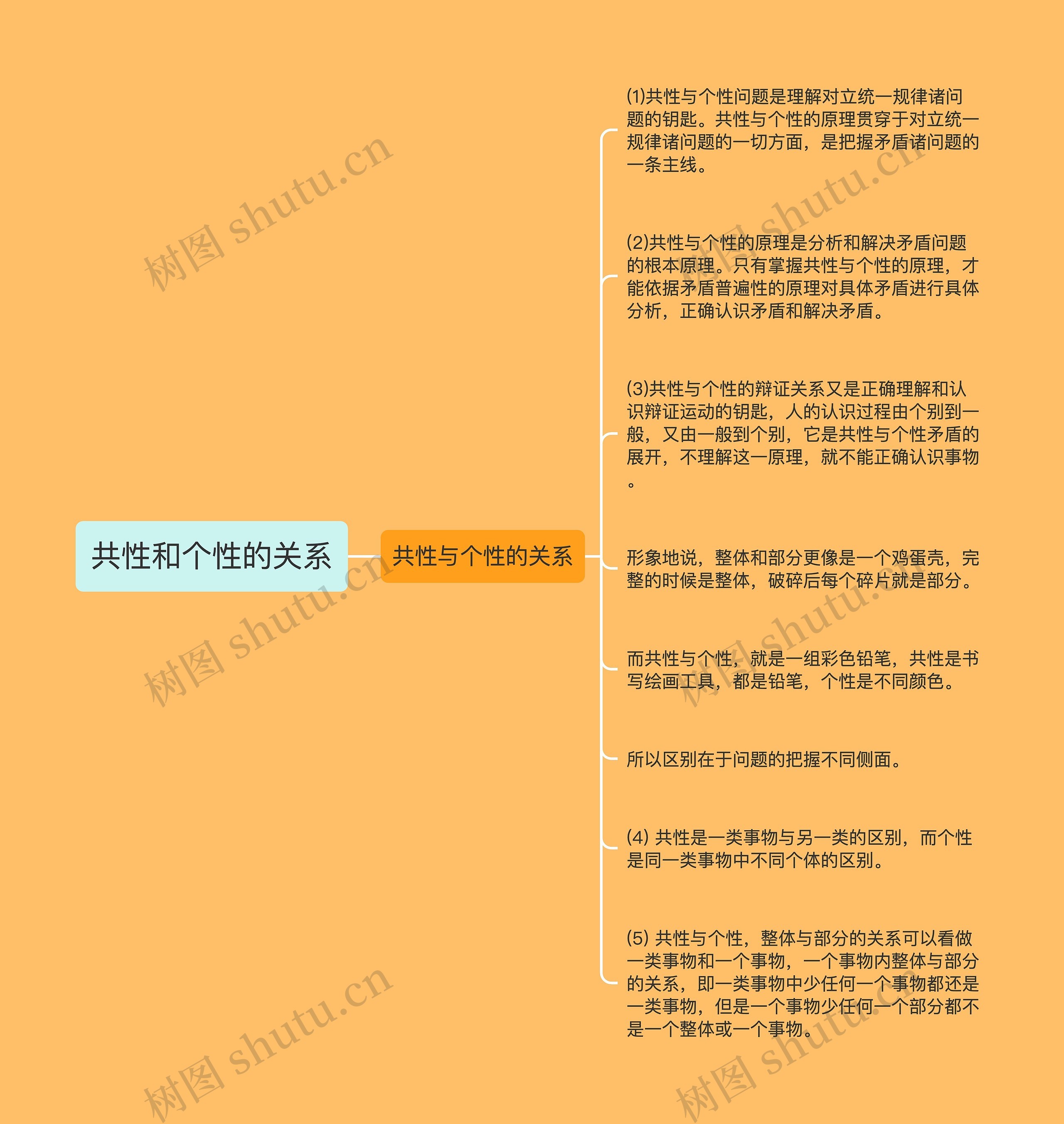 共性和个性的关系思维导图