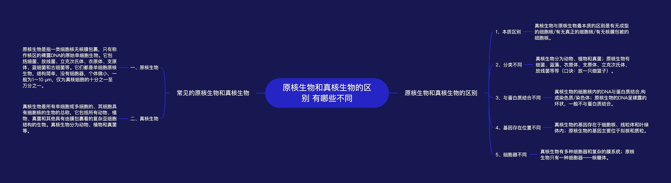 原核生物和真核生物的区别 有哪些不同思维导图