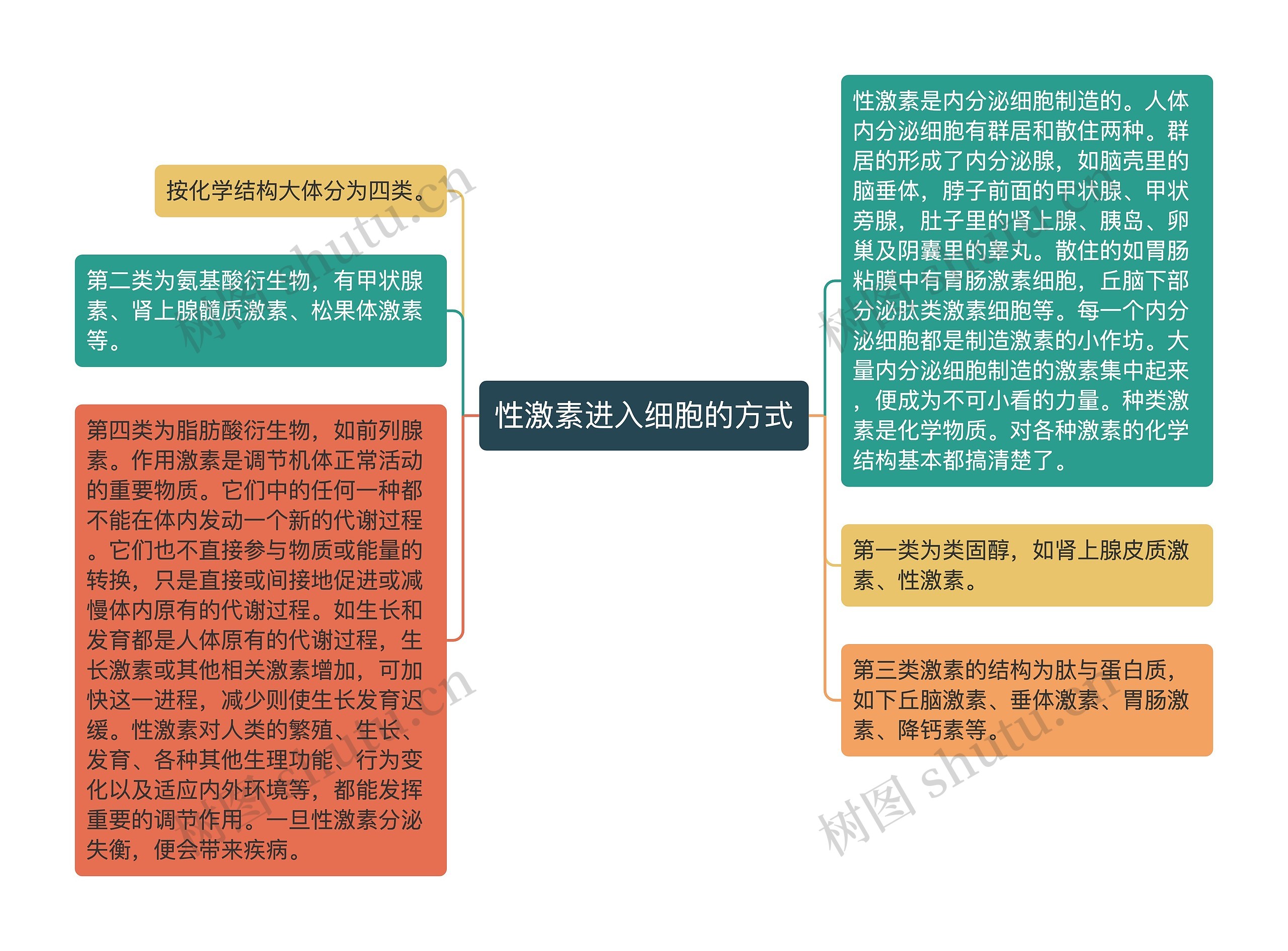 性激素进入细胞的方式