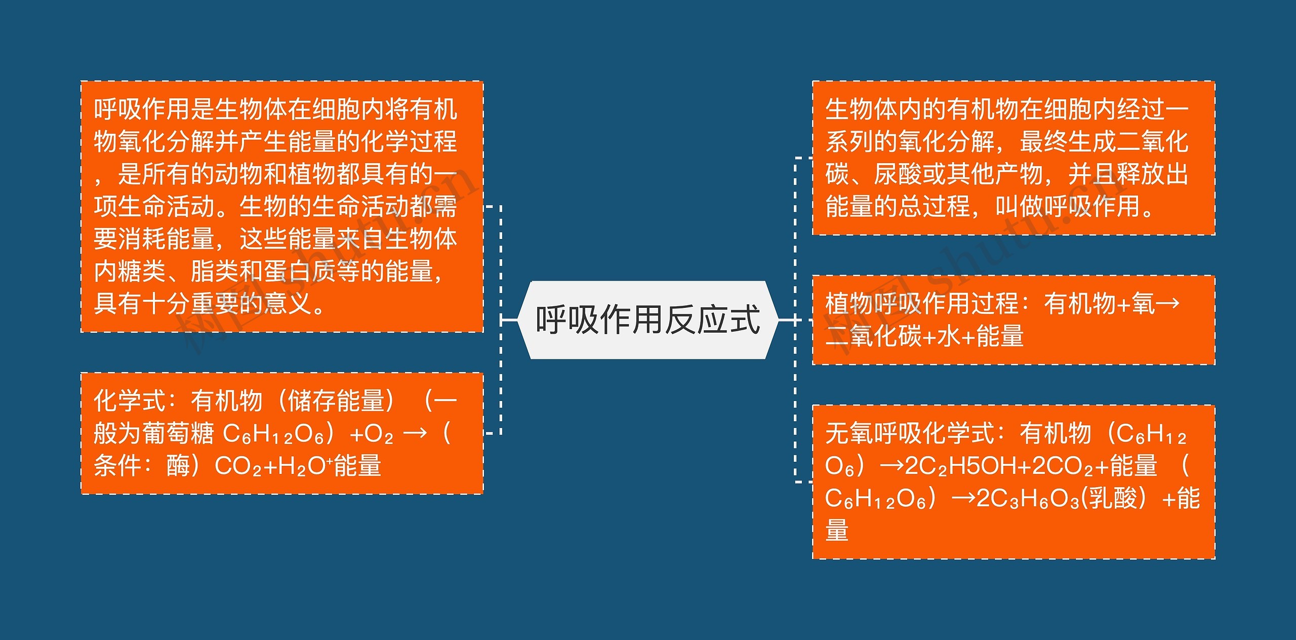 呼吸作用反应式思维导图