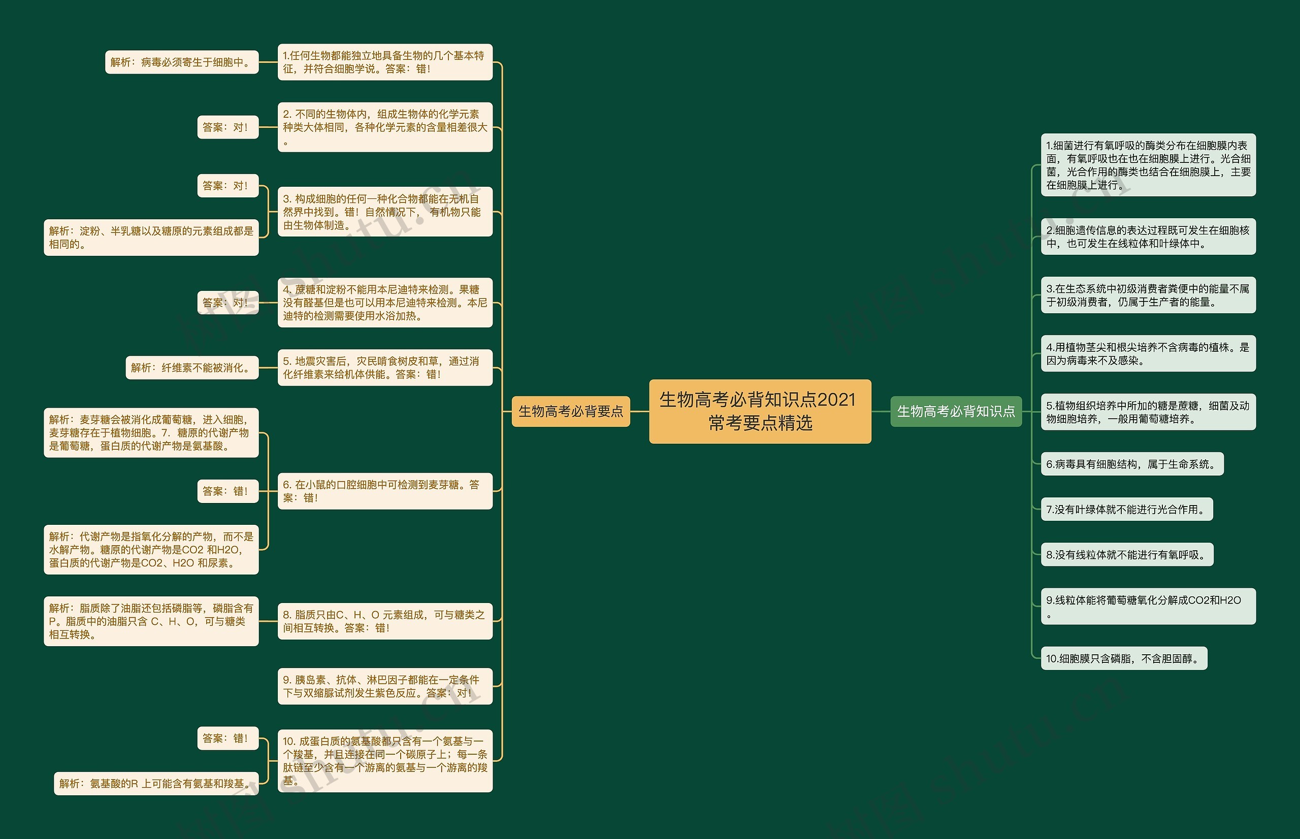 生物高考必背知识点2021 常考要点精选思维导图