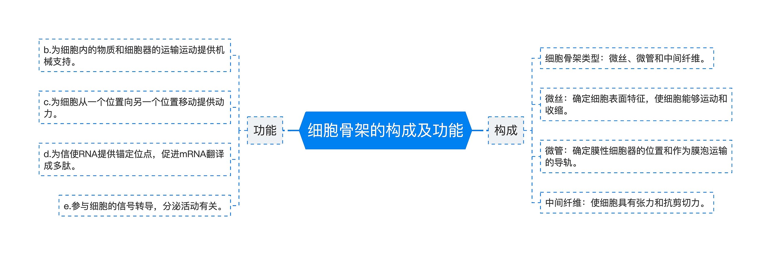 细胞骨架的构成及功能