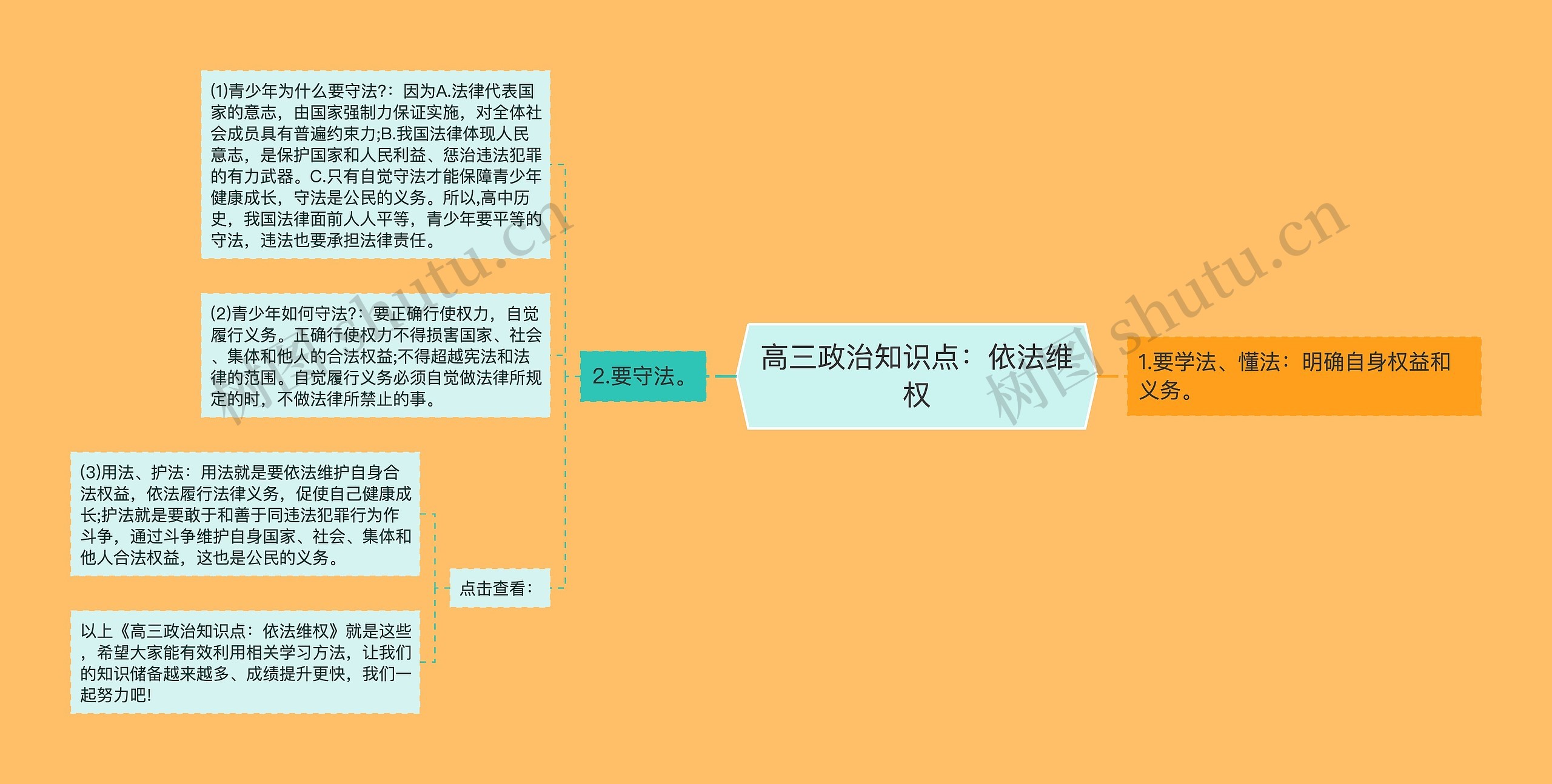 高三政治知识点：依法维权思维导图