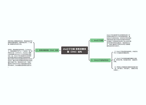 dna分子功能 脱氧核糖核酸（DNA）结构