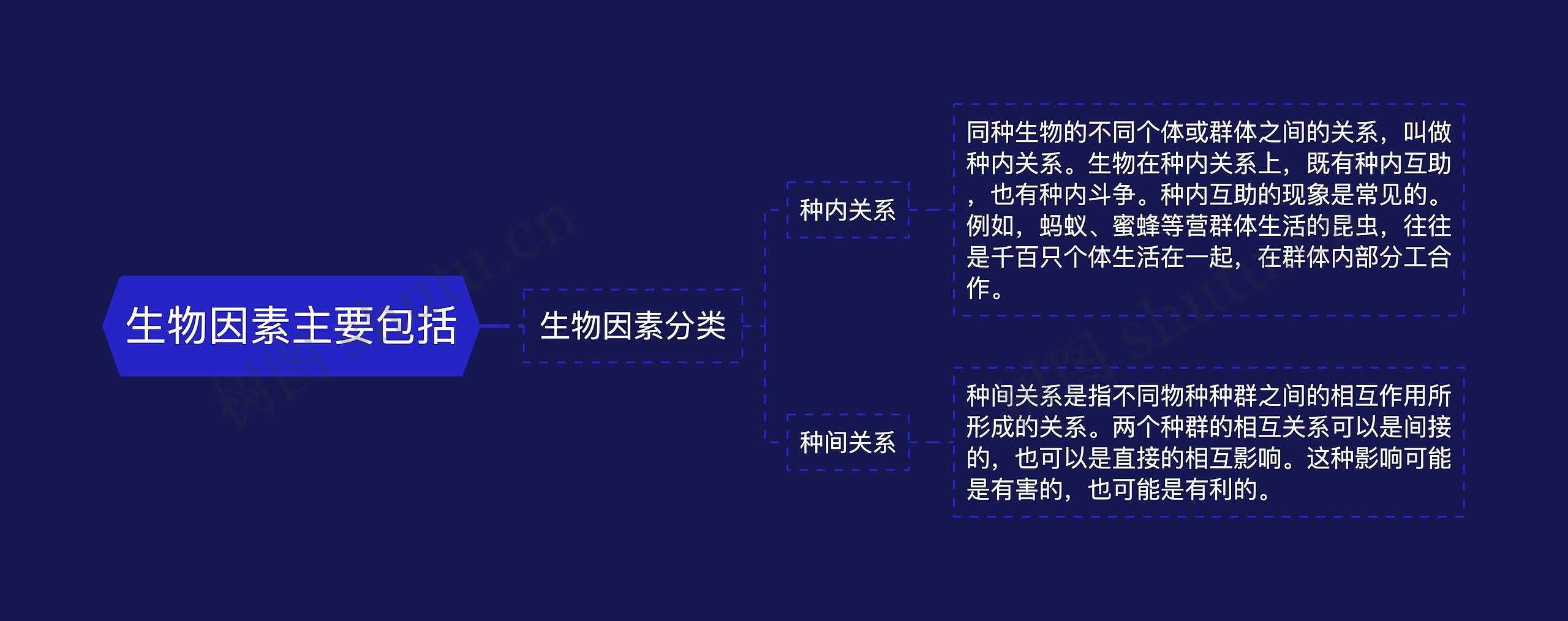 生物因素主要包括思维导图