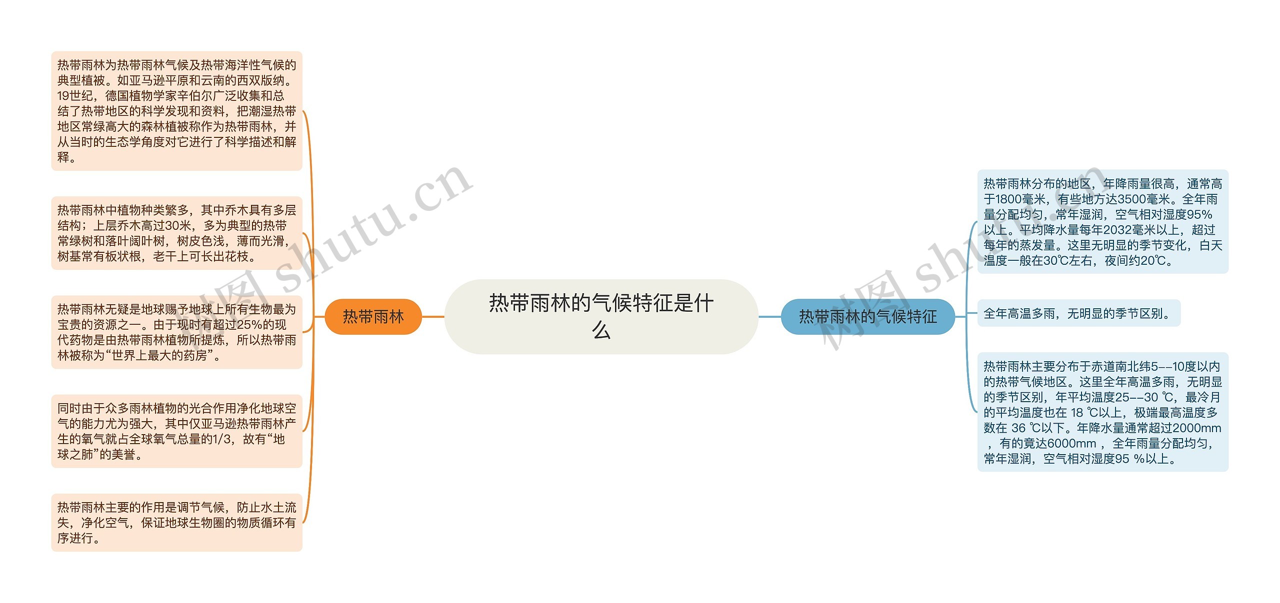 热带雨林的气候特征是什么