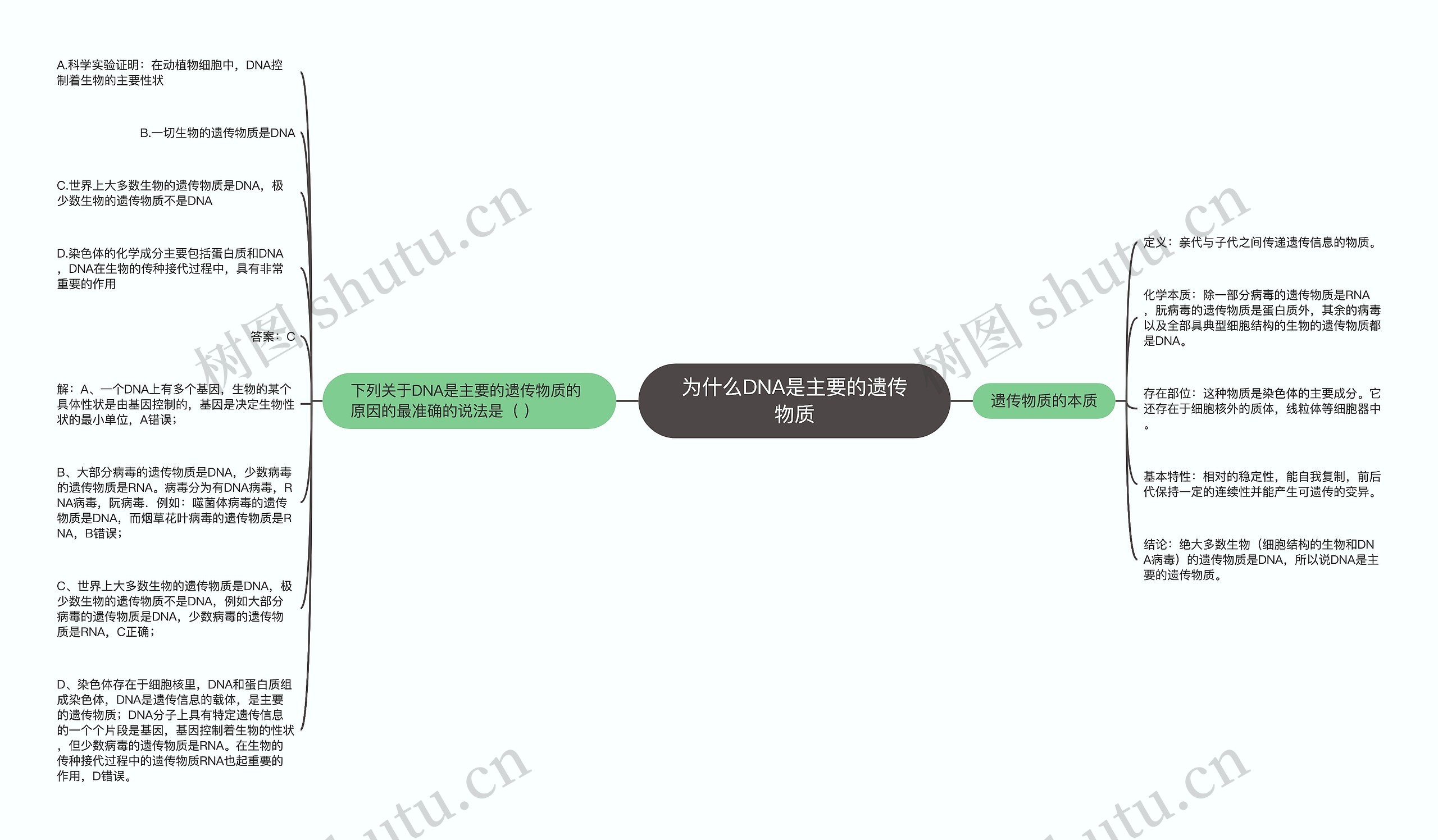 为什么DNA是主要的遗传物质思维导图