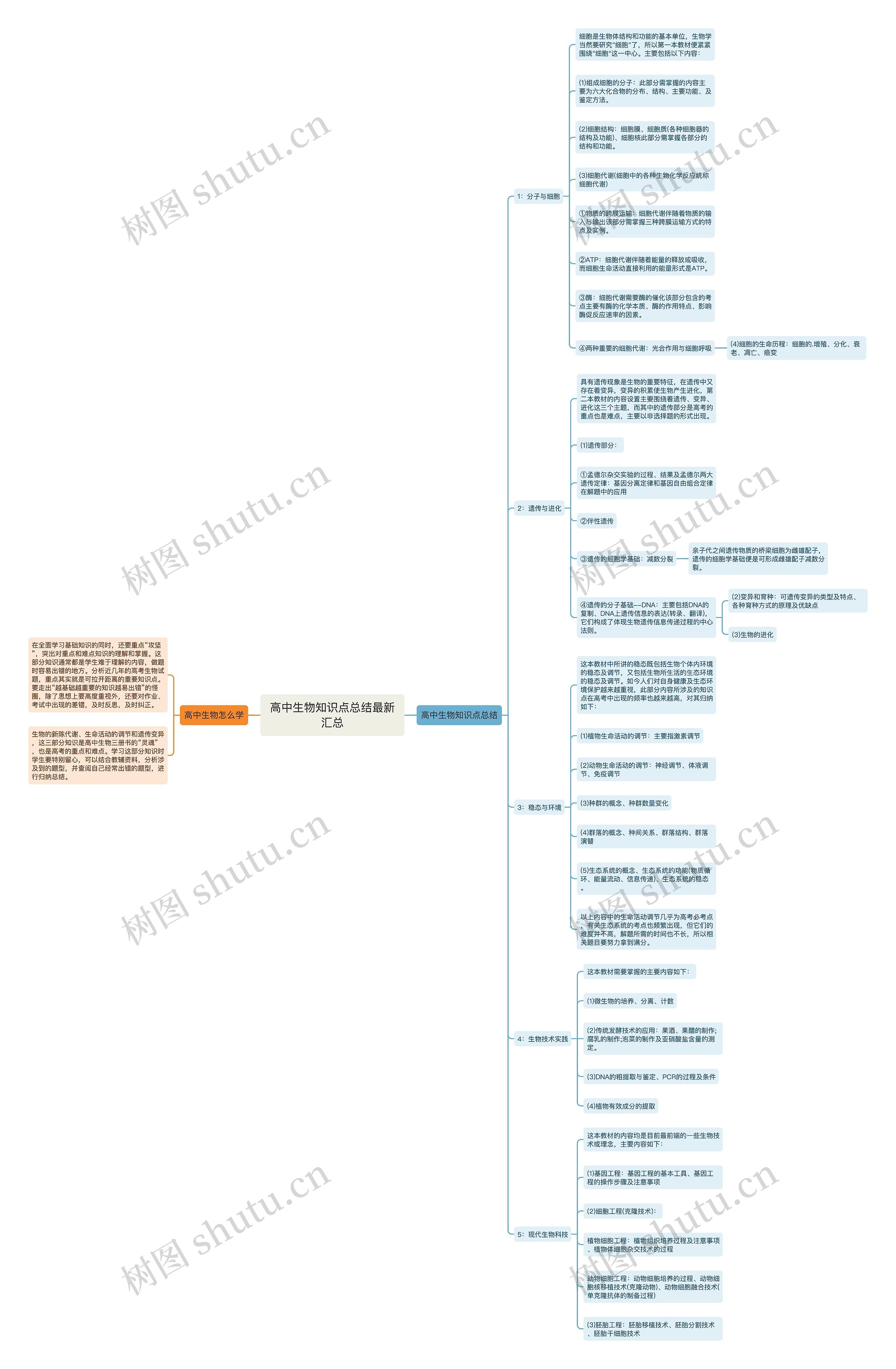 高中生物知识点总结最新汇总思维导图