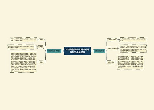 构成细胞膜的主要成分是磷脂还是胆固醇