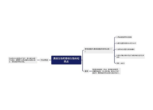 真核生物和原核生物的相同点