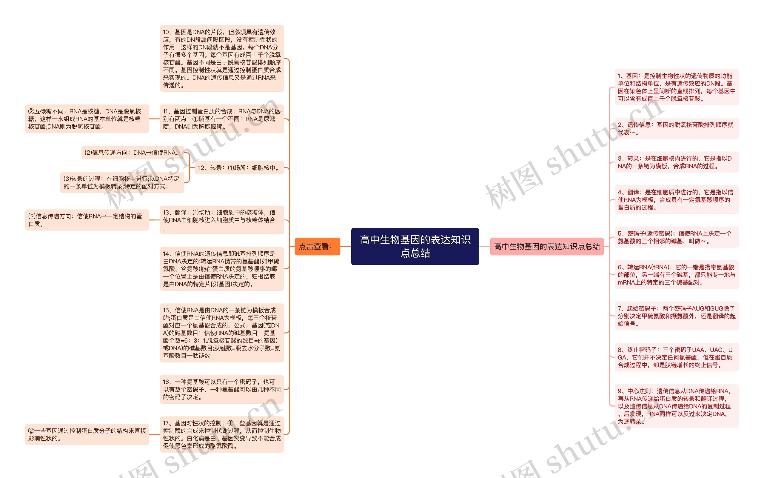 高中生物基因的表达知识点总结