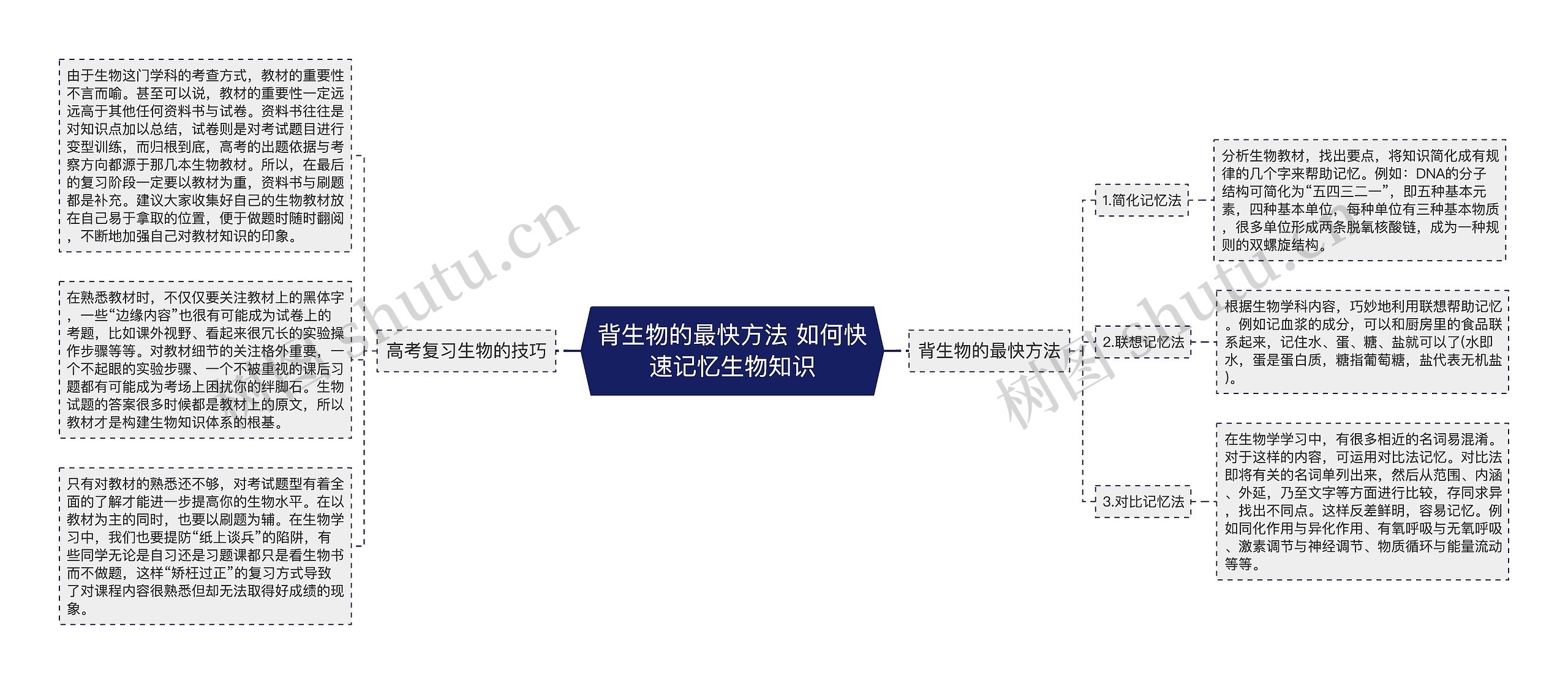 背生物的最快方法 如何快速记忆生物知识