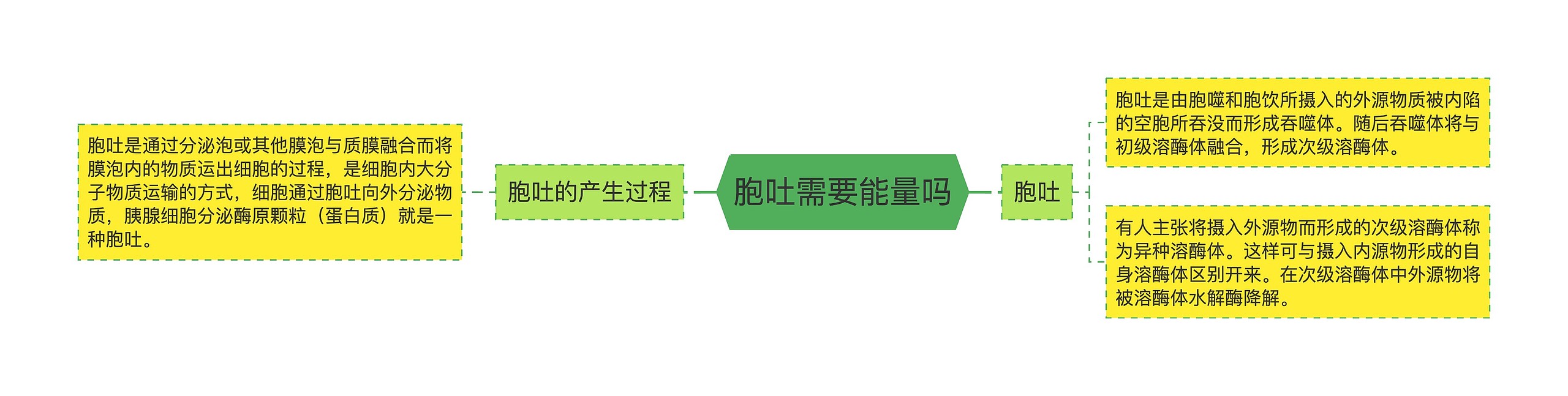 胞吐需要能量吗