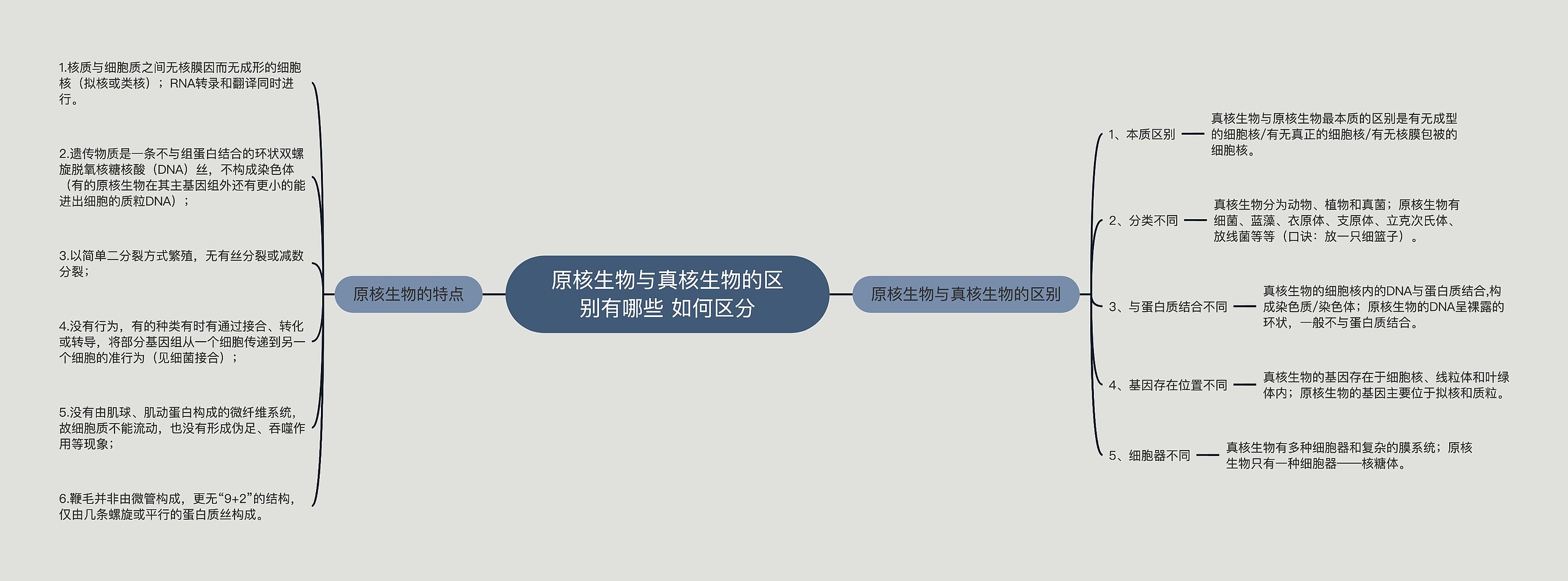 原核生物与真核生物的区别有哪些 如何区分 原核生物与真核生物的区别有哪些 如何区分