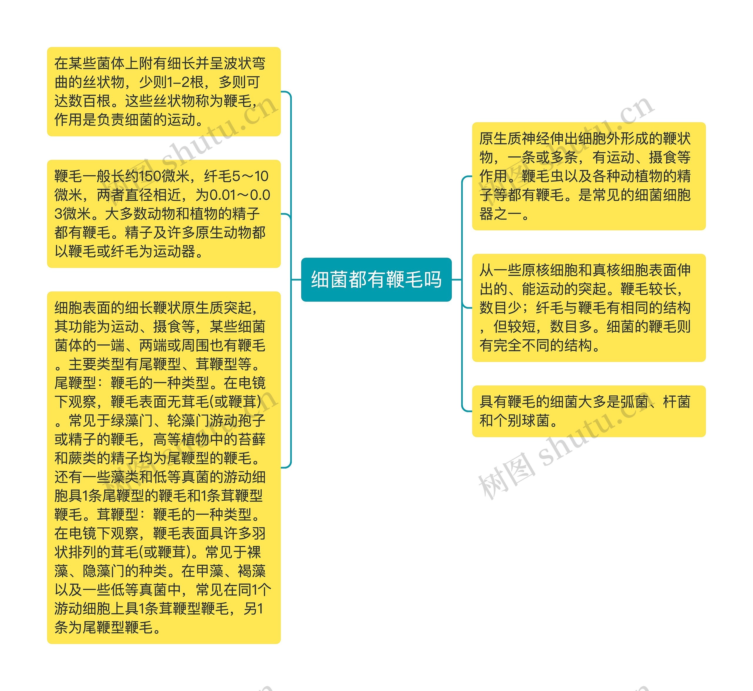 细菌都有鞭毛吗