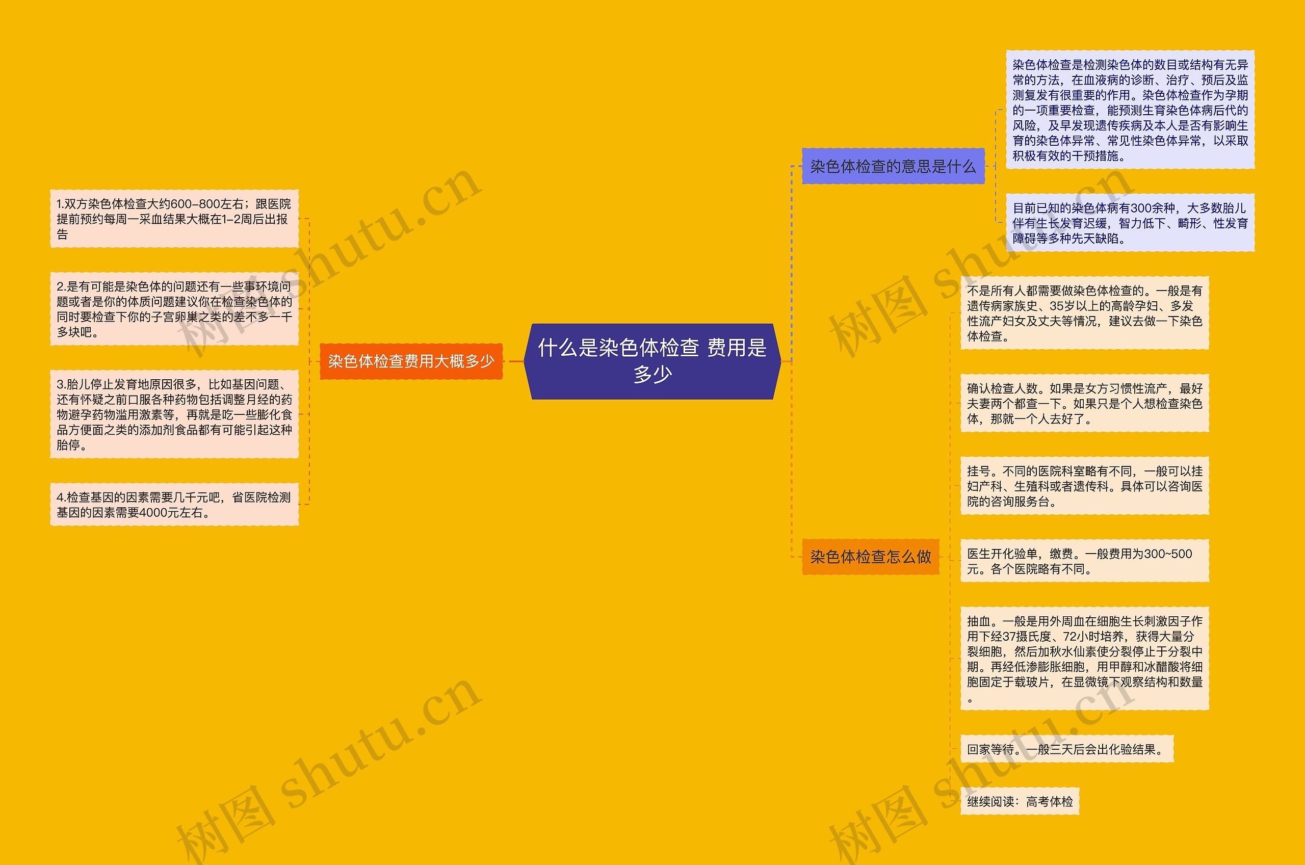 什么是染色体检查 费用是多少