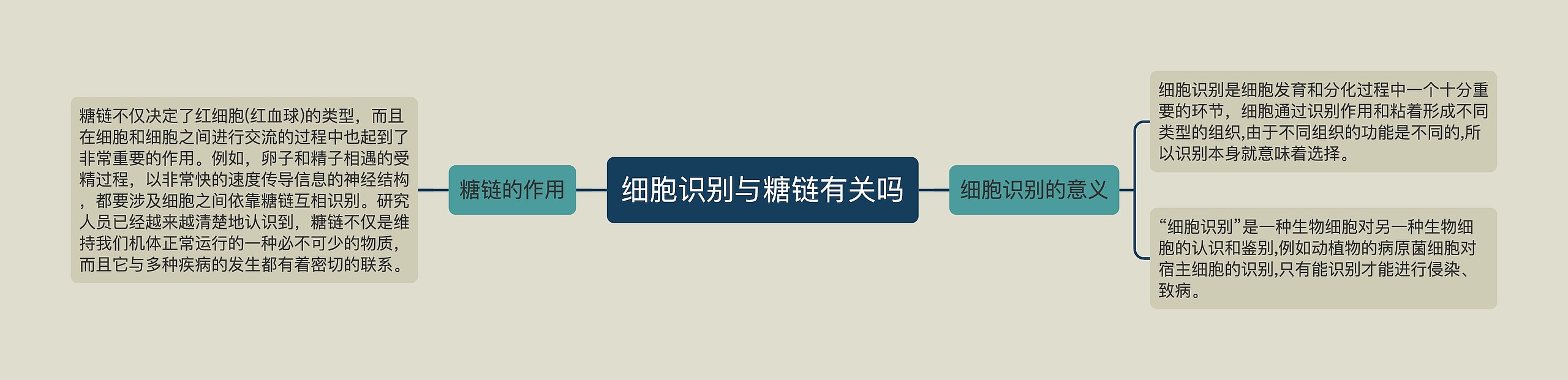 细胞识别与糖链有关吗