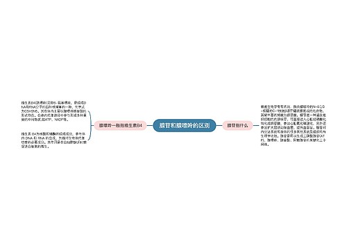 腺苷和腺嘌呤的区别