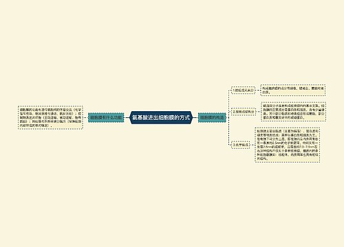 氨基酸进出细胞膜的方式