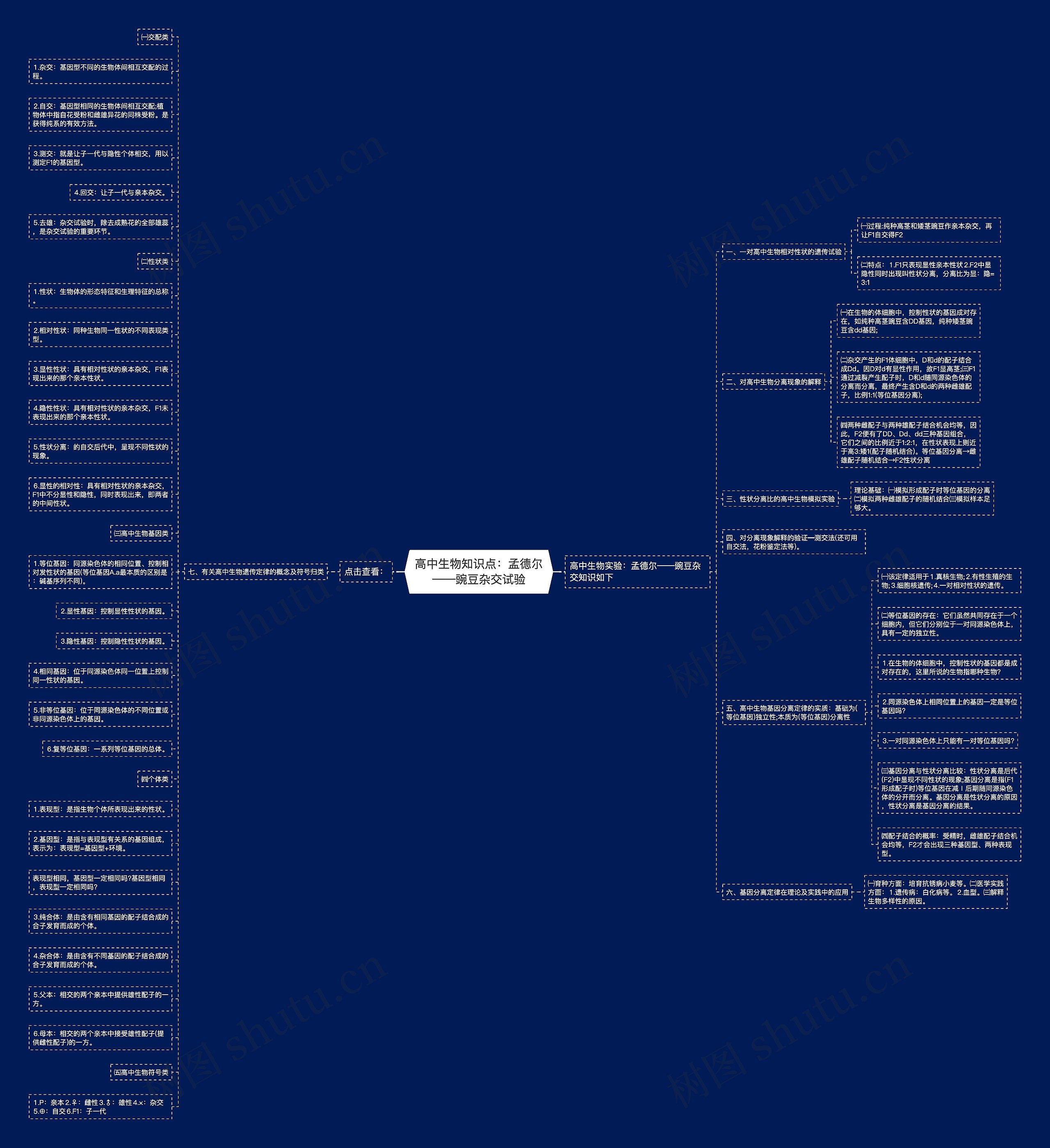 高中生物知识点：孟德尔——豌豆杂交试验思维导图