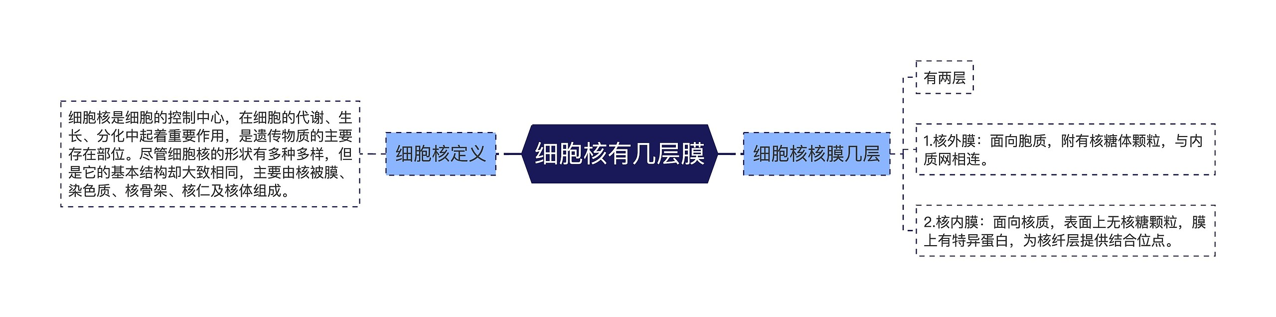 细胞核有几层膜思维导图