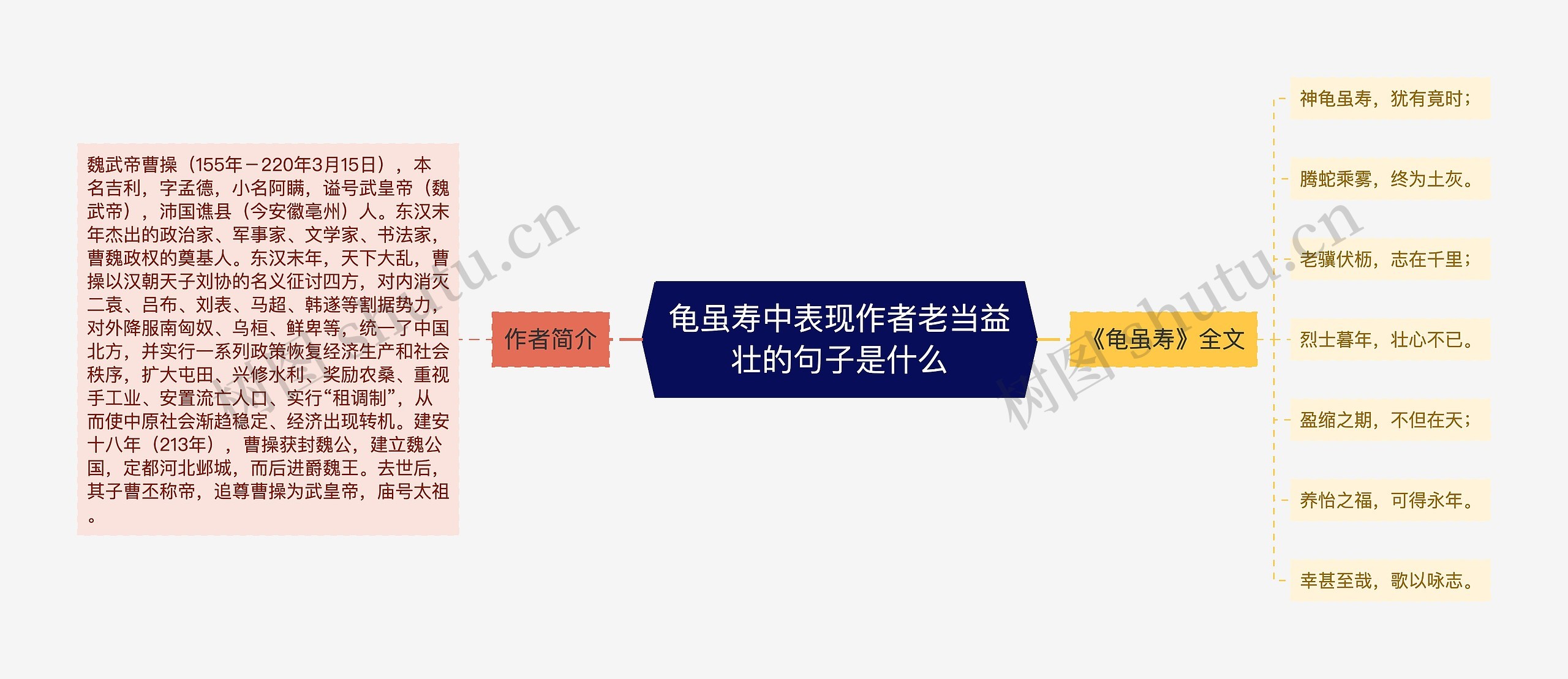 龟虽寿中表现作者老当益壮的句子是什么