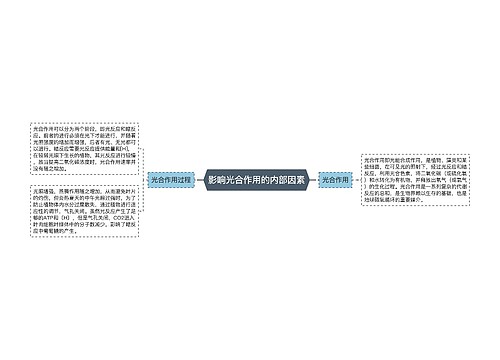 影响光合作用的内部因素