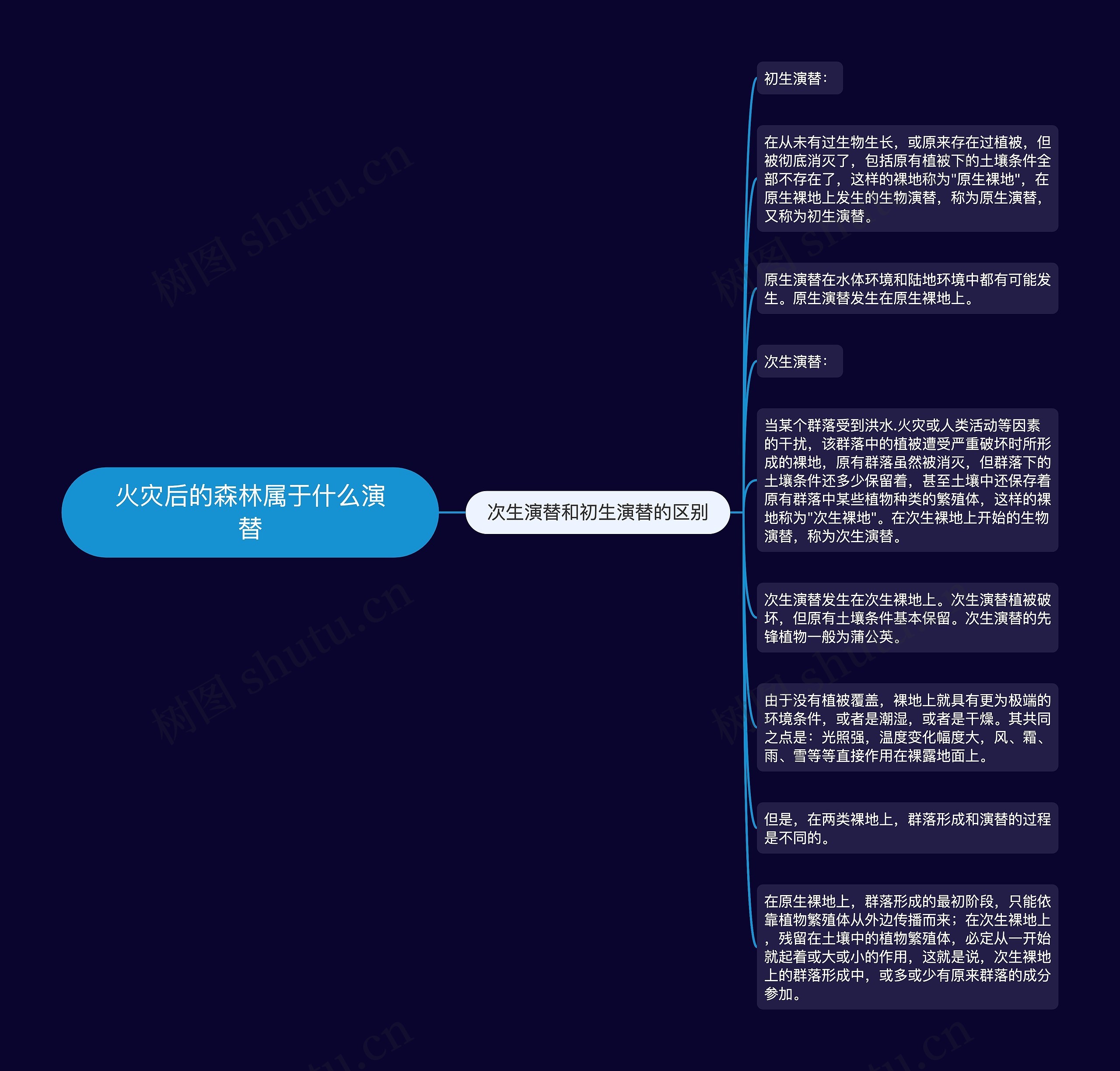 火灾后的森林属于什么演替 火灾后的森林属于什么演替