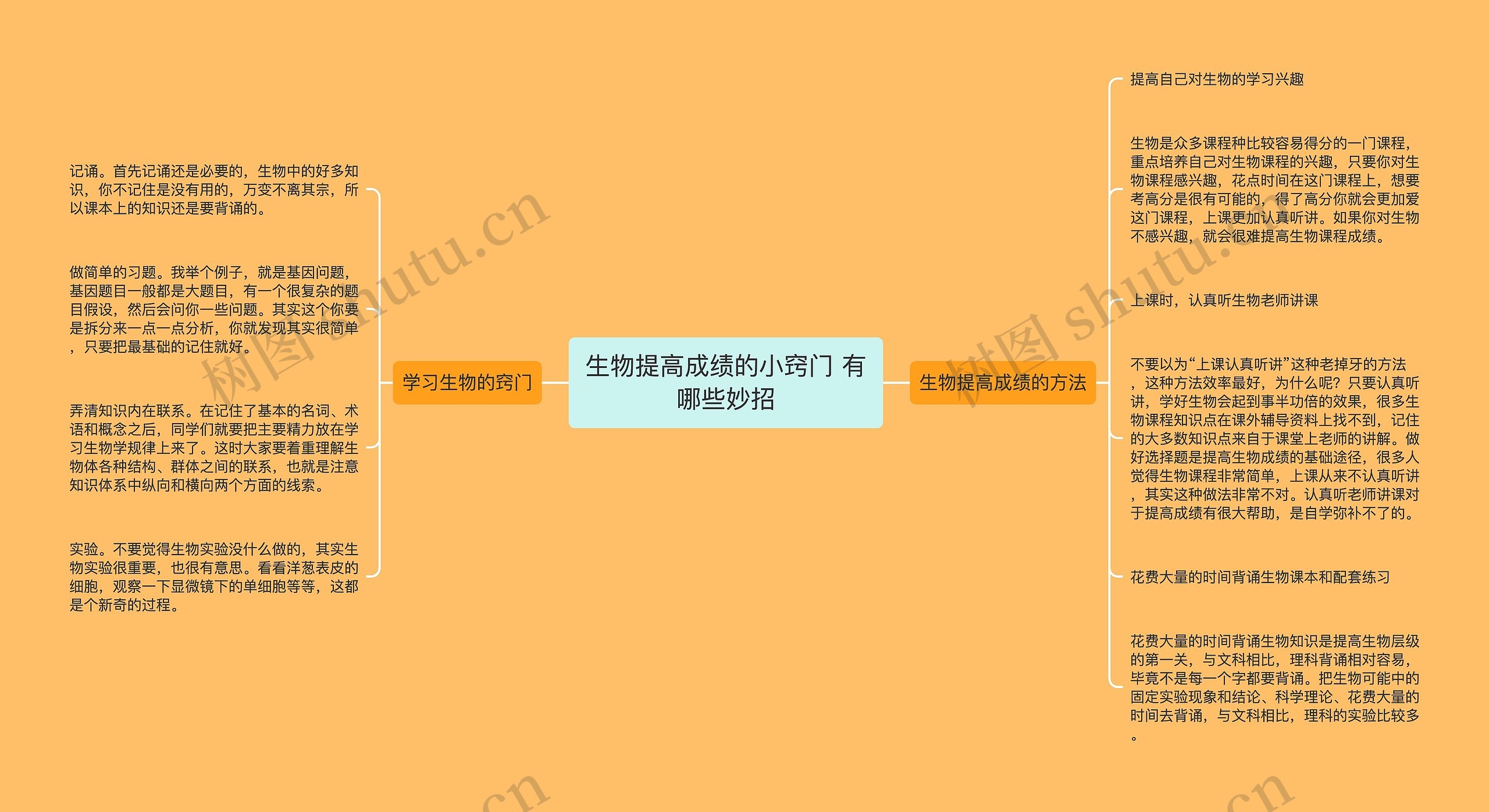 生物提高成绩的小窍门 有哪些妙招思维导图