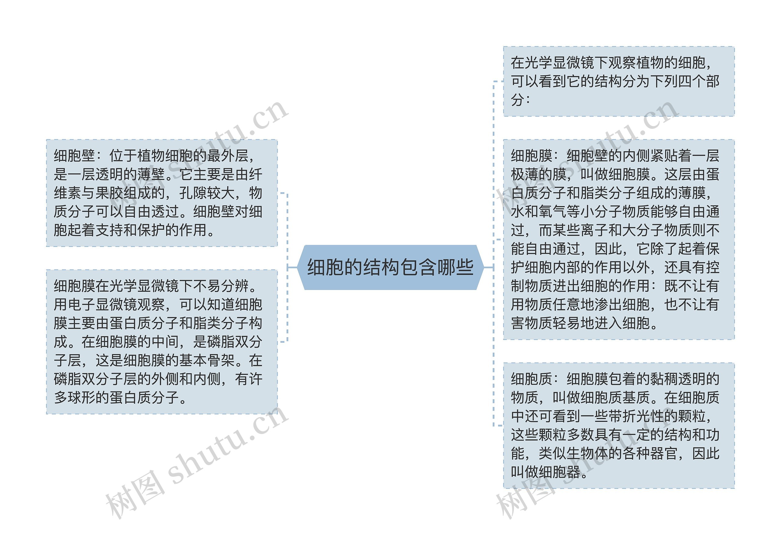 细胞的结构包含哪些思维导图