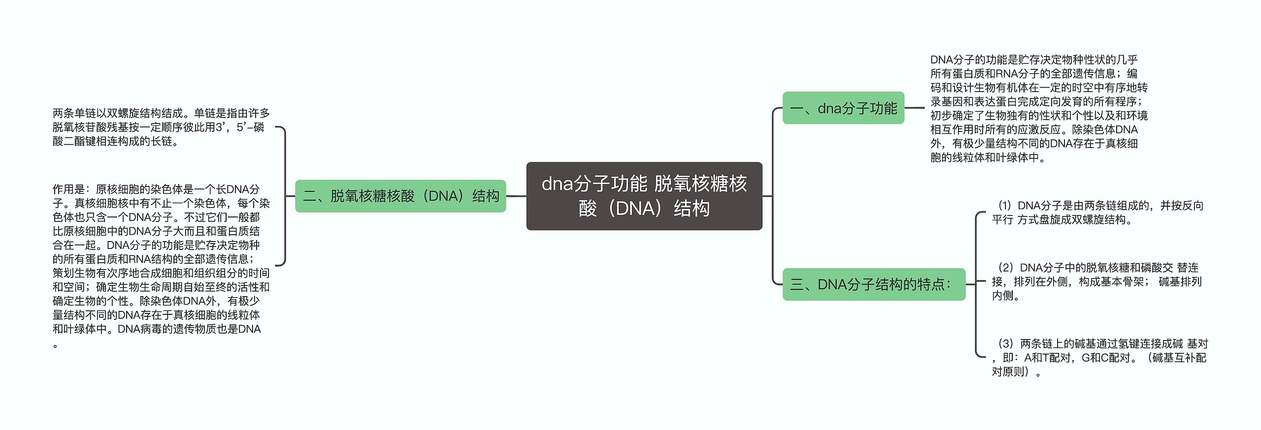 dna分子功能 脱氧核糖核酸（DNA）结构
