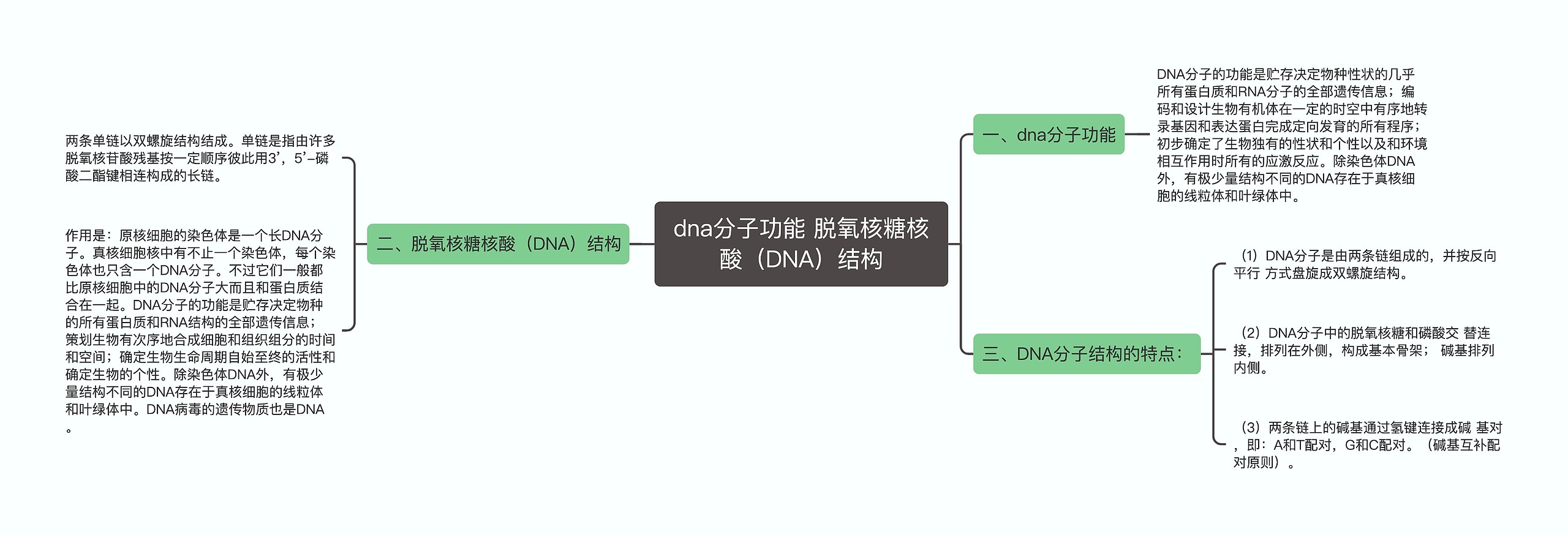 dna分子功能 脱氧核糖核酸（DNA）结构思维导图