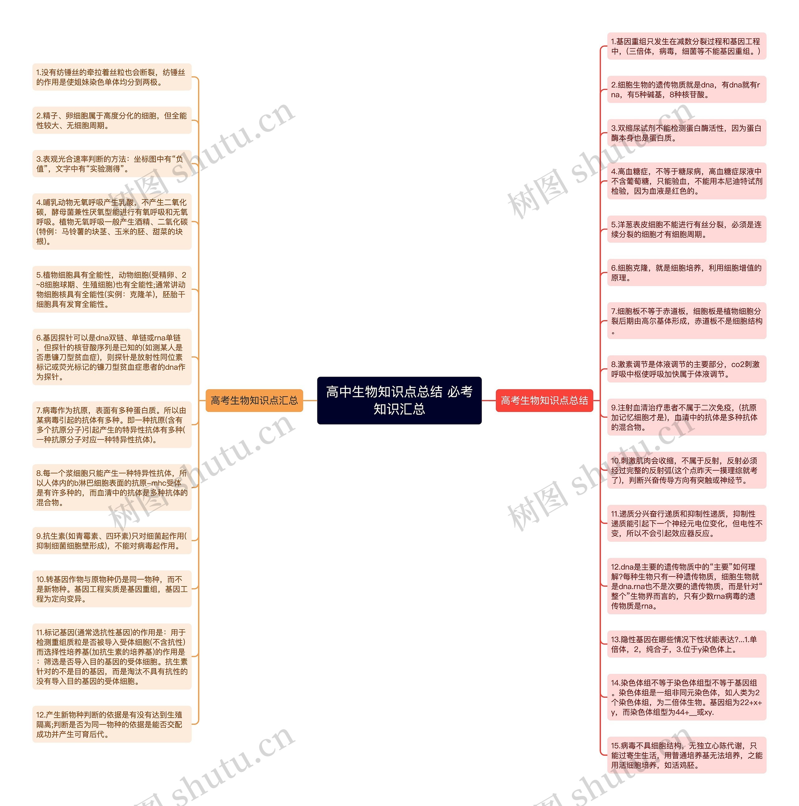 高中生物知识点总结 必考知识汇总思维导图