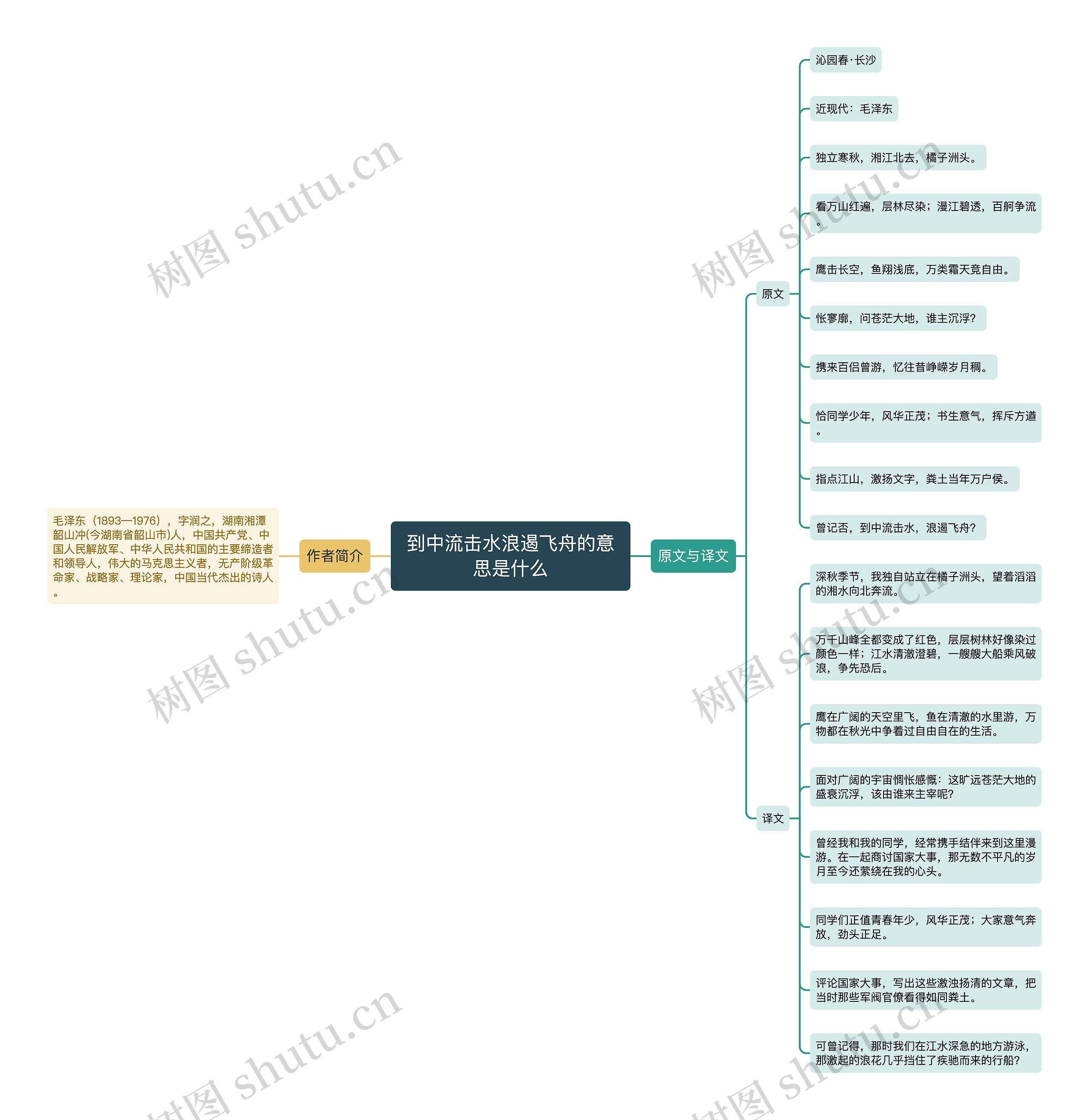 到中流击水浪遏飞舟的意思是什么思维导图