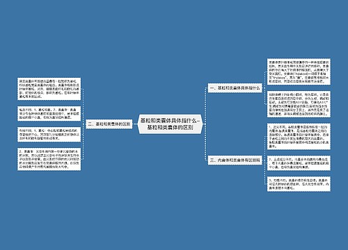 基粒和类囊体具体指什么-基粒和类囊体的区别