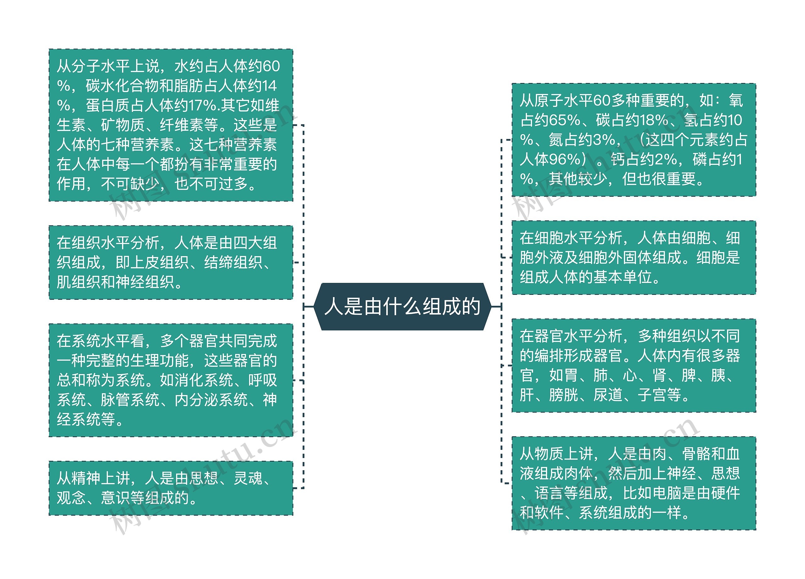 人是由什么组成的思维导图