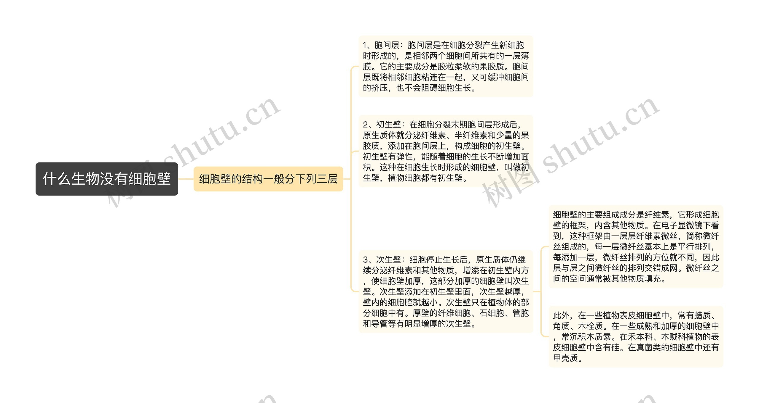 什么生物没有细胞壁 什么生物没有细胞壁