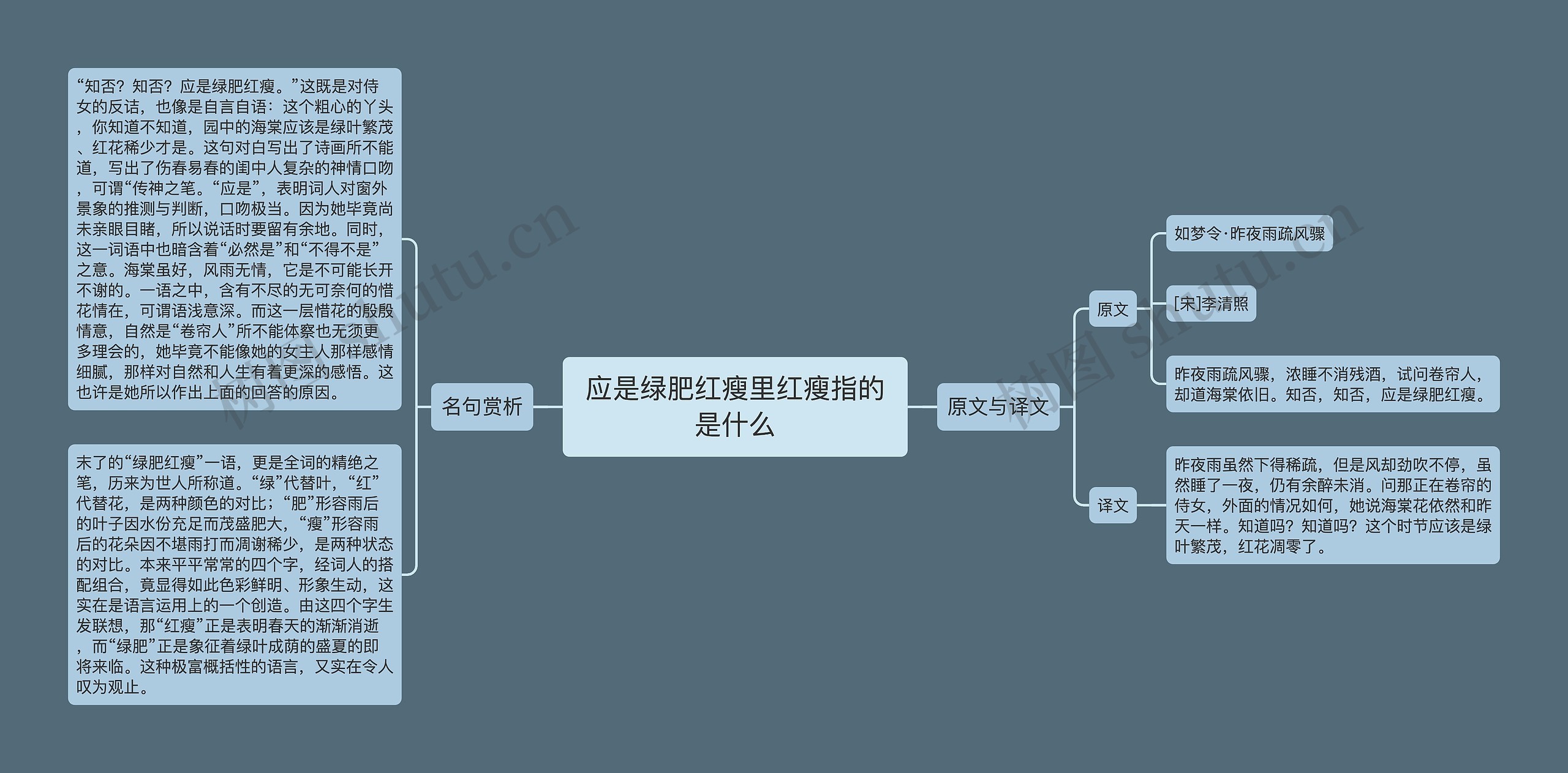 应是绿肥红瘦里红瘦指的是什么思维导图